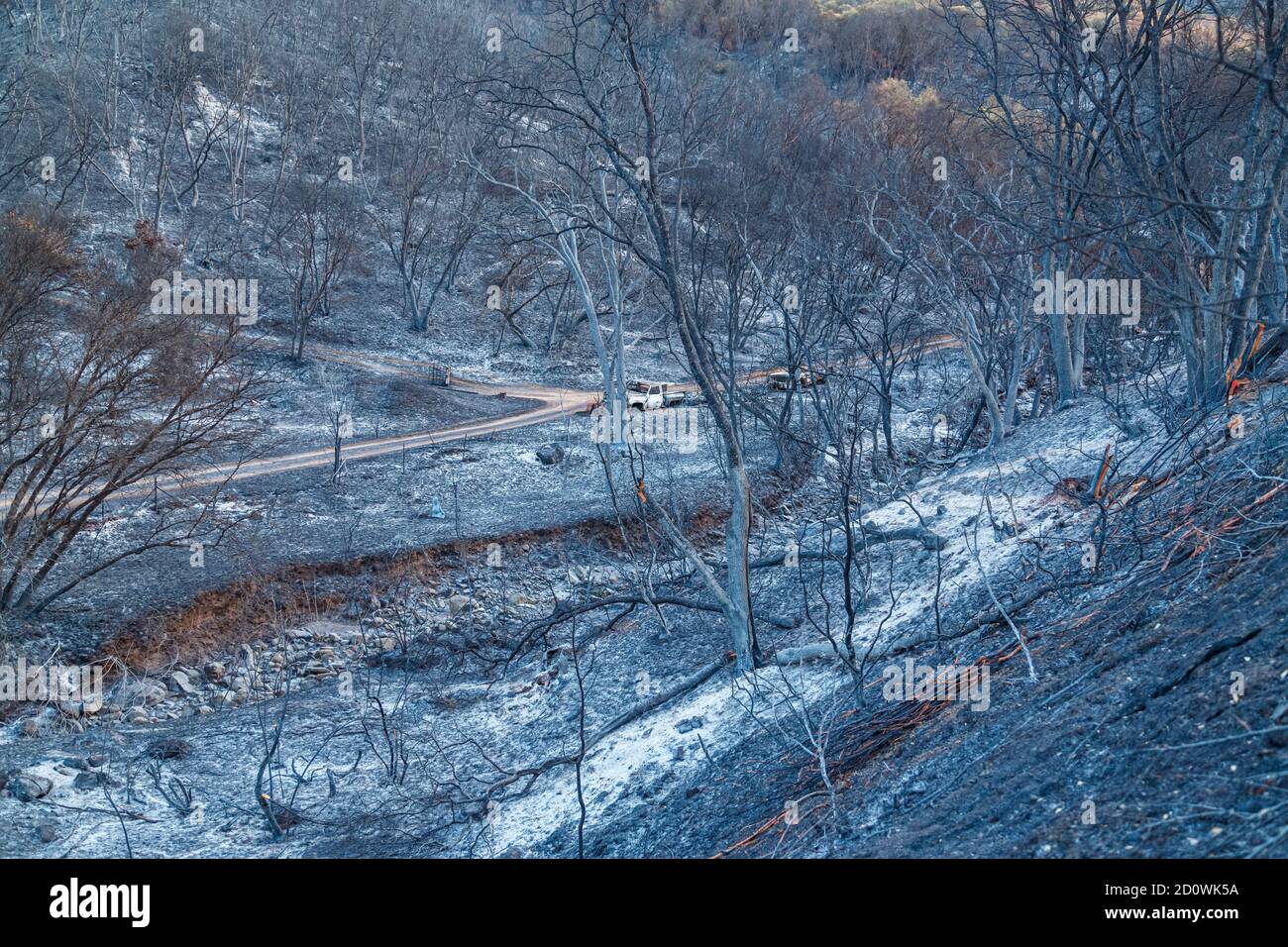 Waldbrände zerstören zahlreiche Schönheitsgebiete, verwüsten Land und Leben der Menschen. Stockfoto