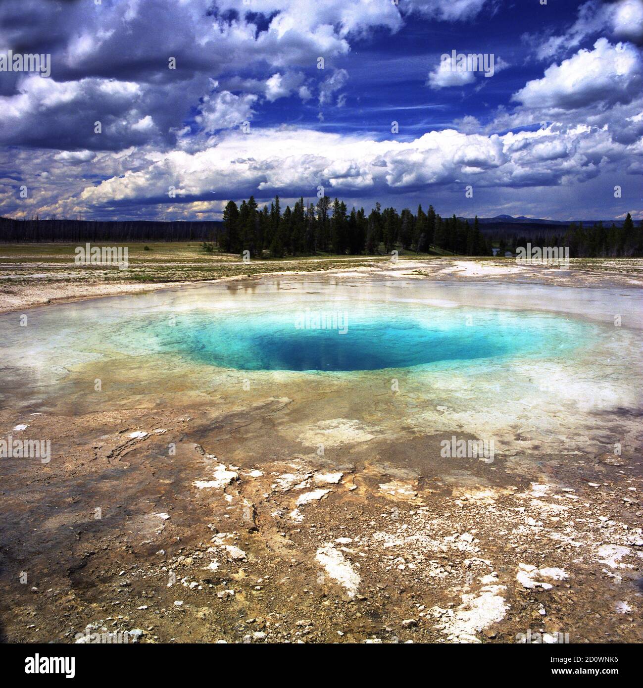 Opal Pool im Yellowstone Nationalpark. Dieses geologische Phänomen zeigt die erstaunliche Schönheit dieser landschaftlichen Naturschönheit. Stockfoto
