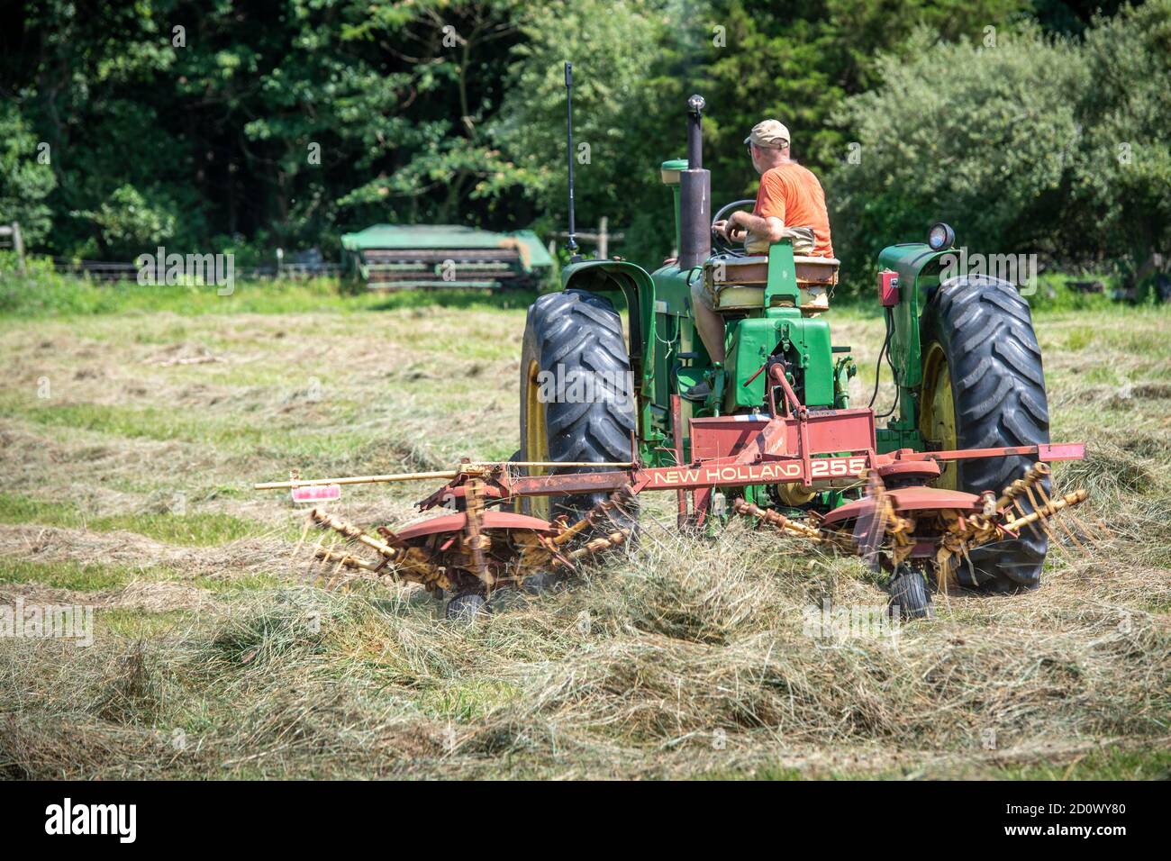 Wuffle Heu im Feld Stockfoto