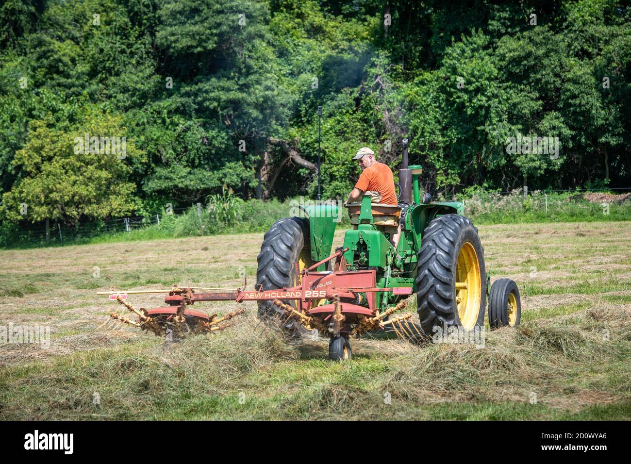Wuffle Hay im Feld Stockfoto