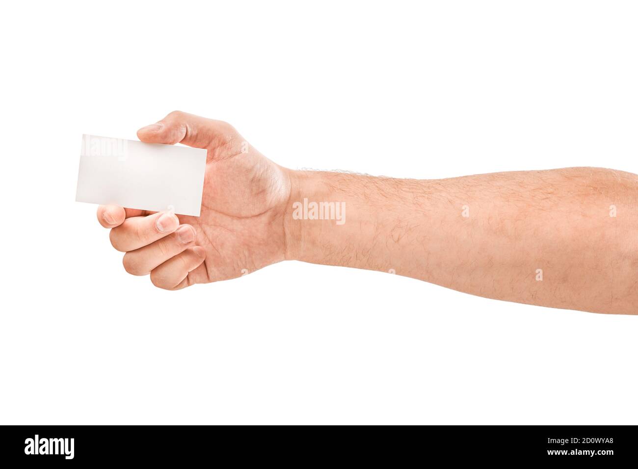 Leere Visitenkarte in einer männlichen Hand isoliert auf weiß Stockfoto