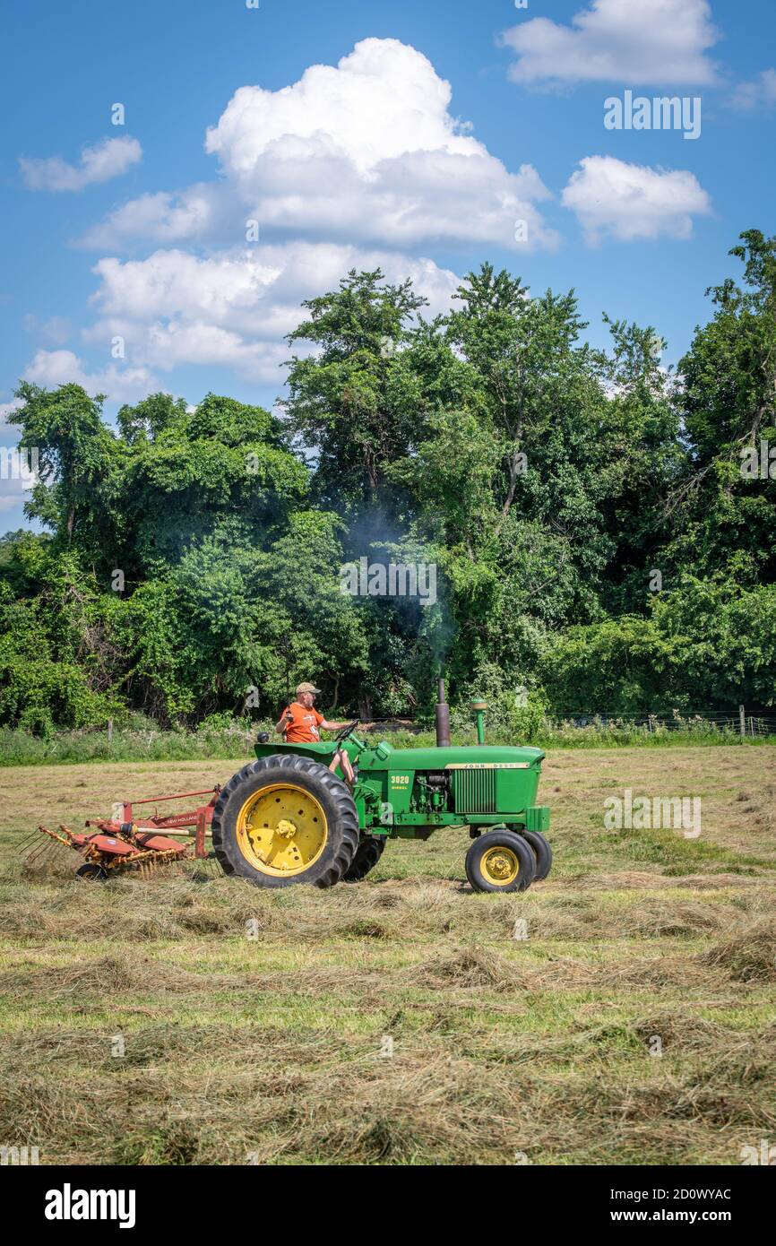 Wuffle Hay im Feld Stockfoto