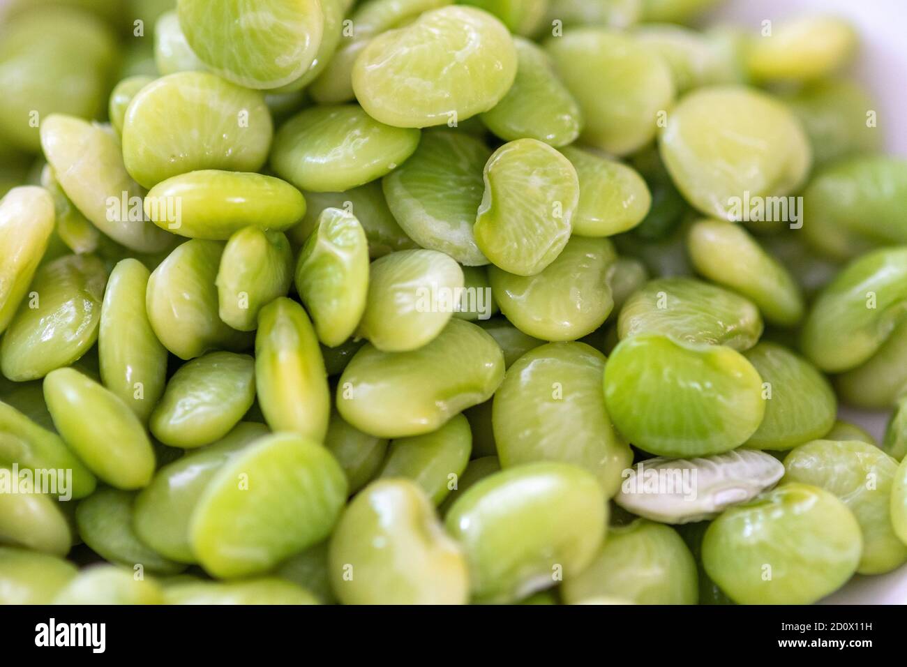 Lima Beans, Edgewater, MD Stockfoto