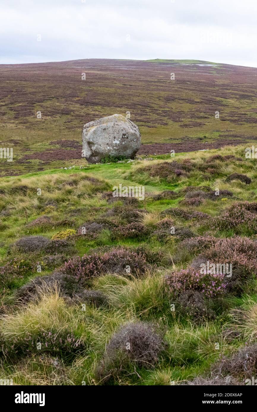 Granitfelsen, Crosby Ravensworth Fell, Cumbria, England, Großbritannien Stockfoto