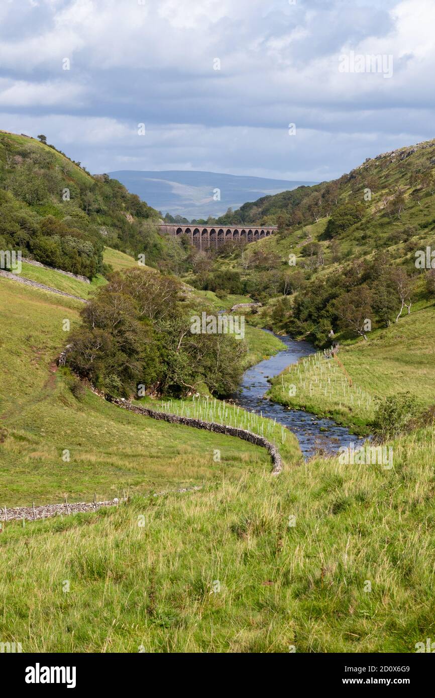 Smardale Gill Viadukt und Scandal Beck, Smardale Nature Reserve, Smardale, Kirkby Stephen, Cumbria, England, Großbritannien Stockfoto