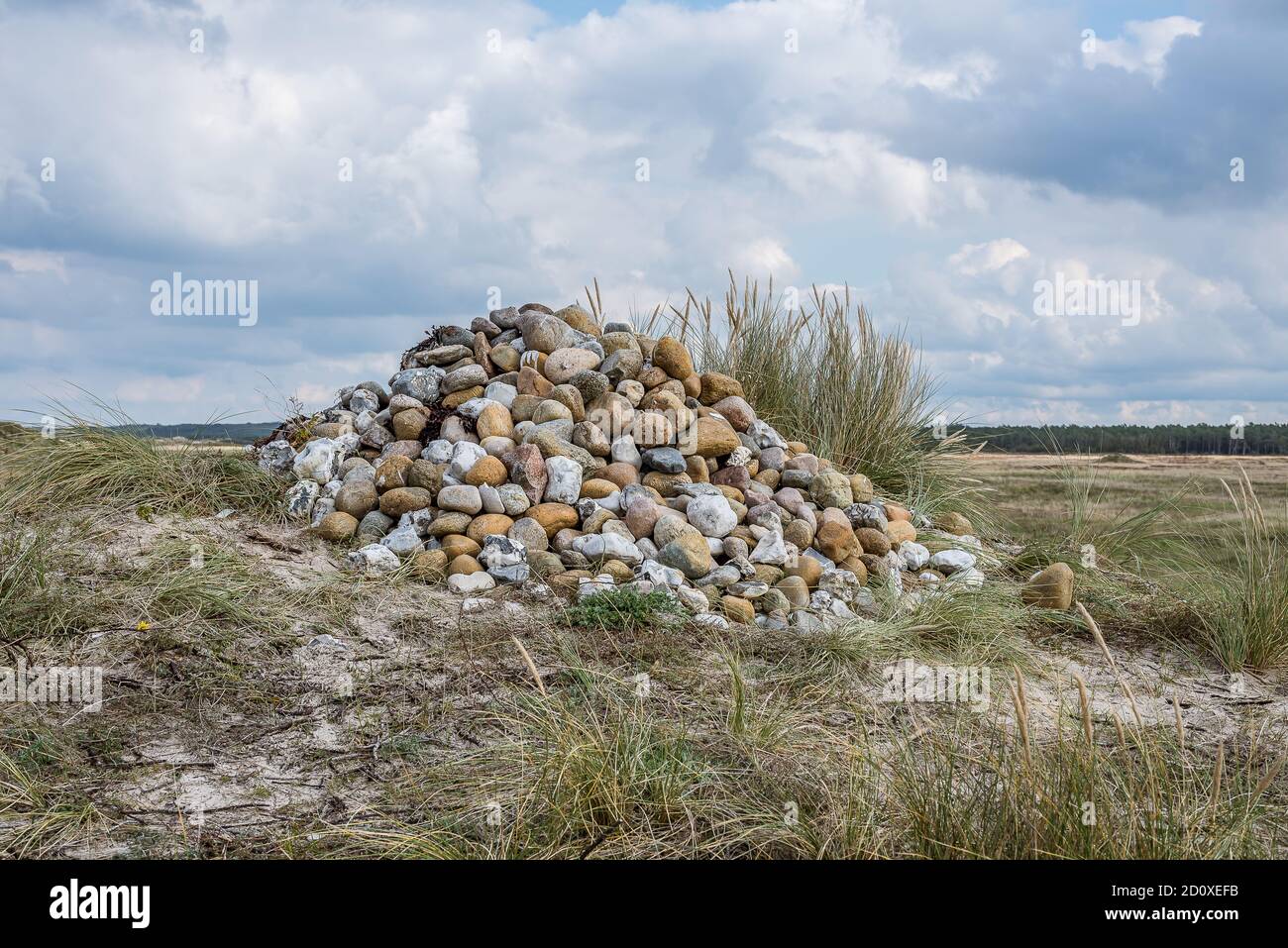 Carin mit Natursteinen in einem großen Haufen auf dem Moor Melby overdrev, Dänemark, 29. September 2020 Stockfoto