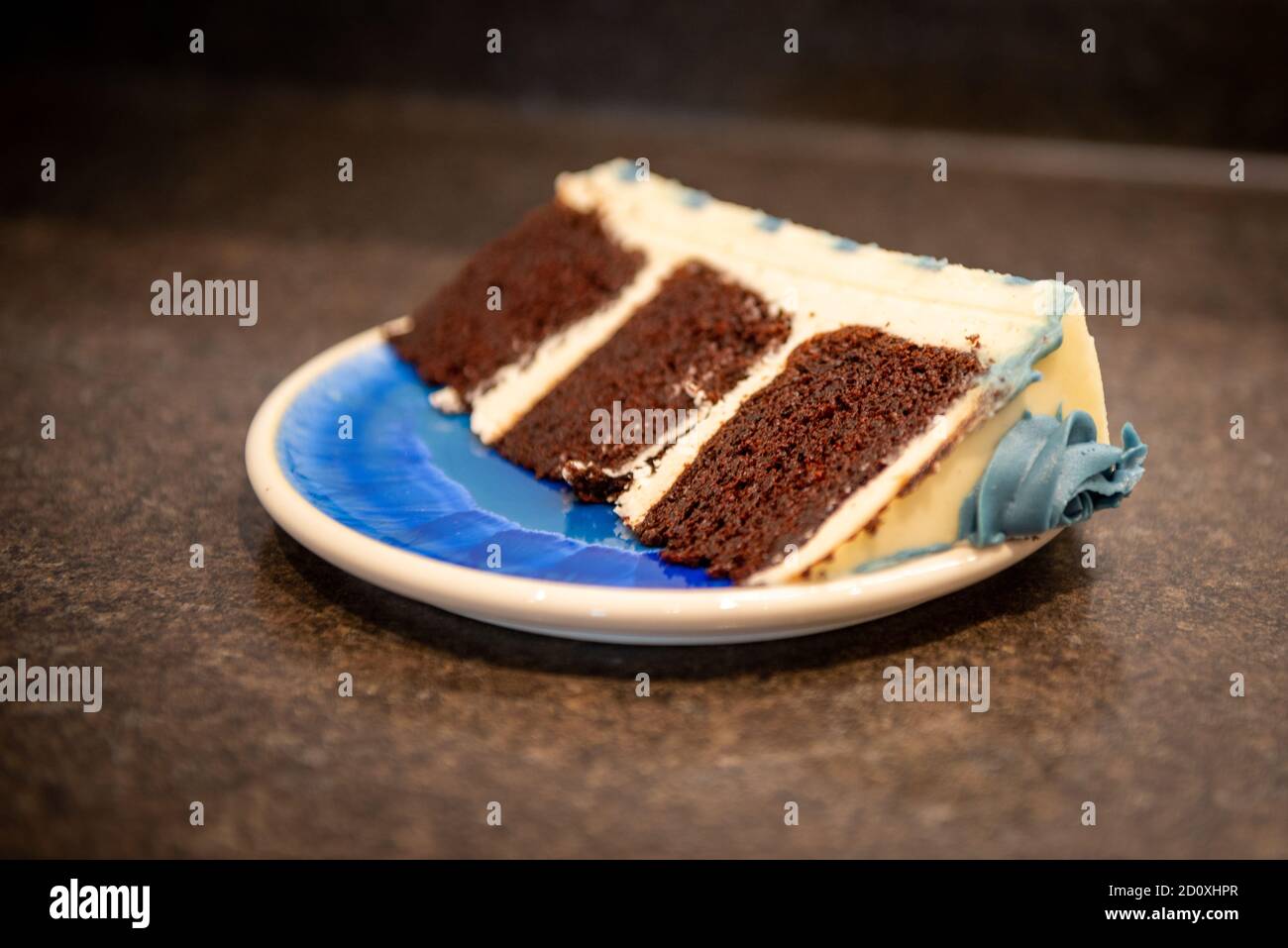 Eine reichhaltige, feuchte Schokoladencreme, dreilagige Torte mit dicker Vanillevereisung und graublau gefärbten Buttercreme-Rosetten. Stockfoto