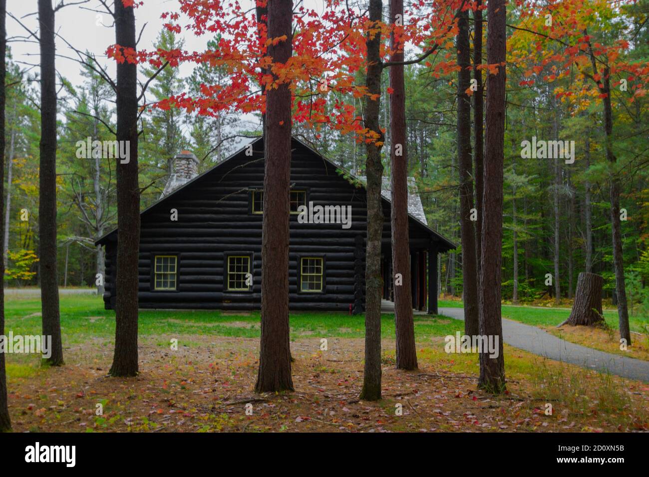 Blockhütte Im Wald. Traditionelle Blockhütte in einem abgelegenen Wald, eingerahmt von Herbstlaub. Dies ist ein historisches Gebäude in einem State Park Stockfoto