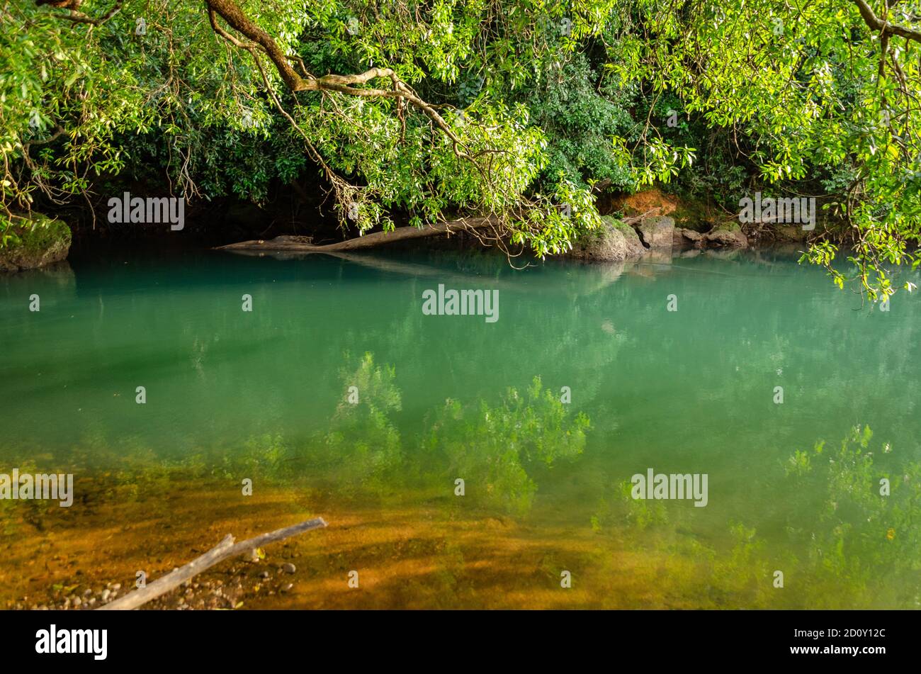 Ruhige Lage mit fließenden Strom von Wasser und Grün umgeben es irgendwo in den bewaldeten Regionen von Mollem, Goa, Indien Stockfoto