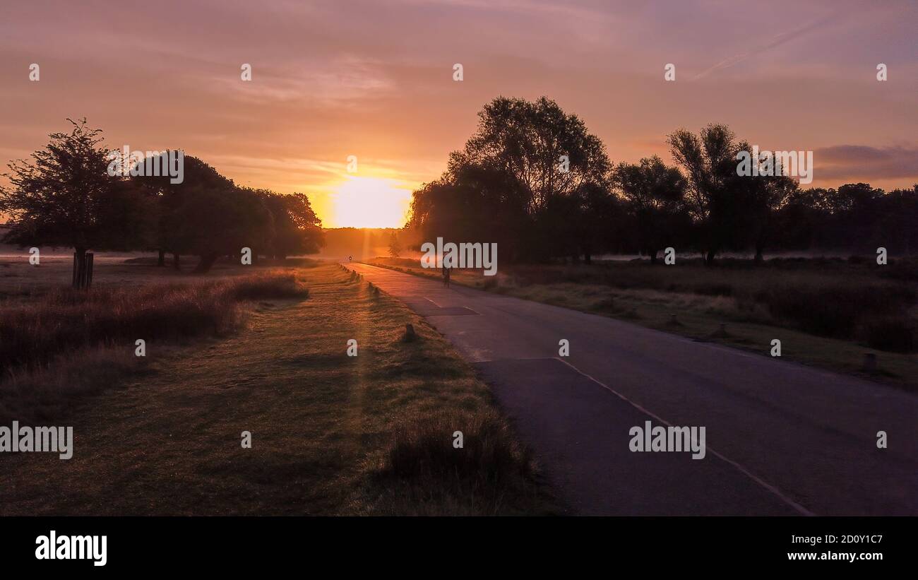 Radfahrer fahren bei Sonnenaufgang an einem nebligen Morgen durch Richmond Park, Surrey, England Stockfoto