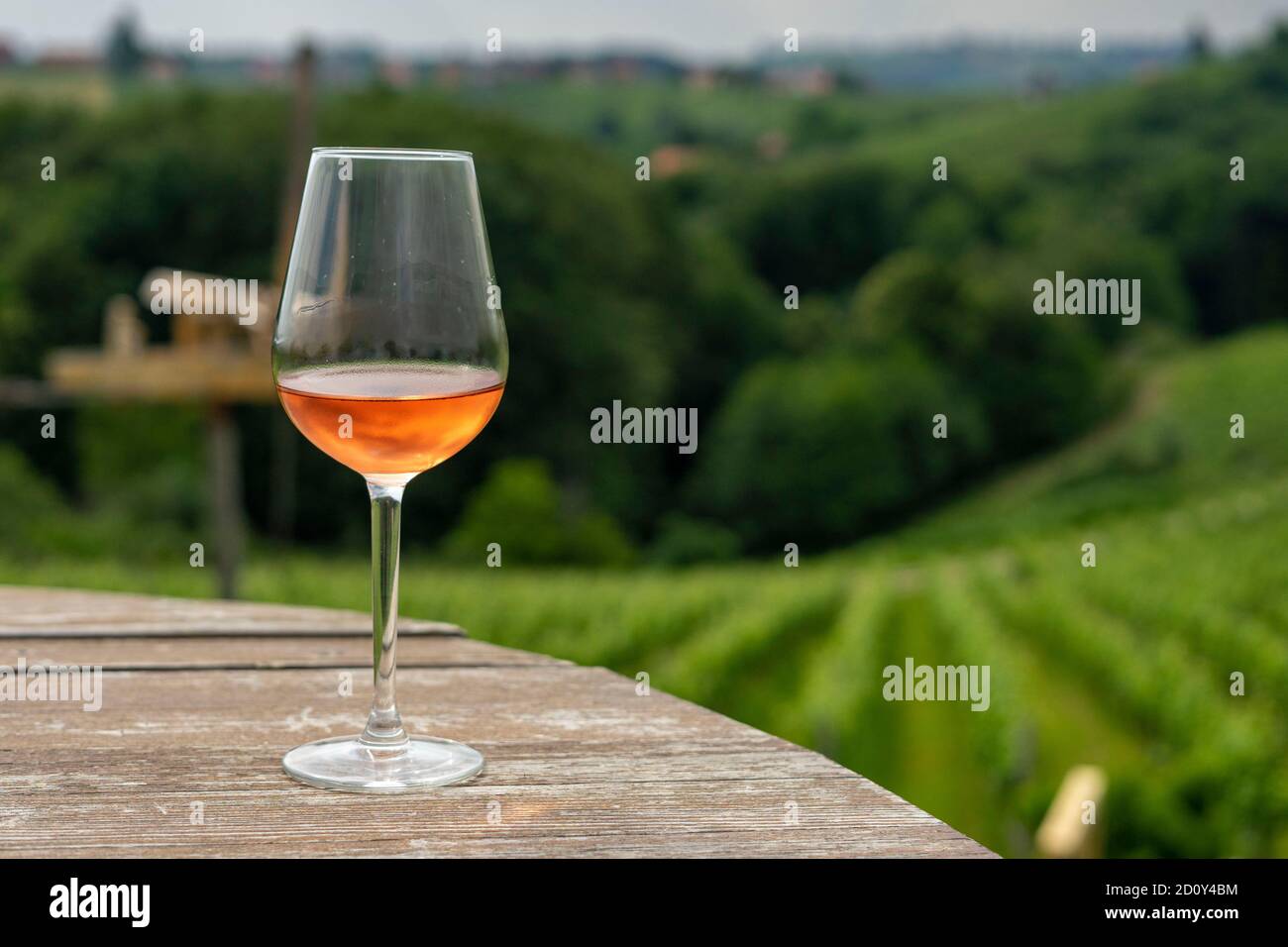 Ein Glas Rose mit Blick auf die Weinberge Stockfoto