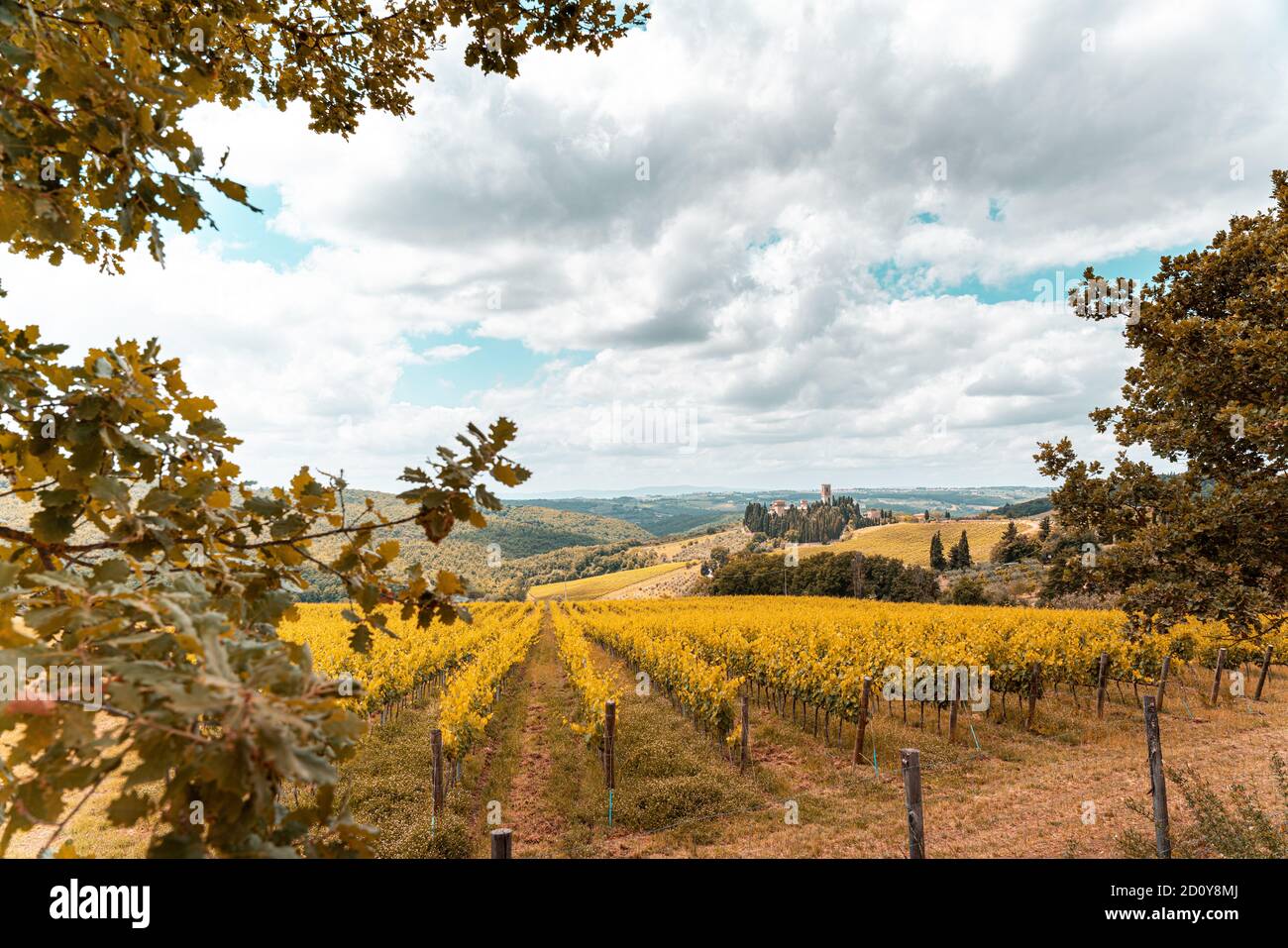 Toskana, Weinberge im Herbst. Italien Stockfoto