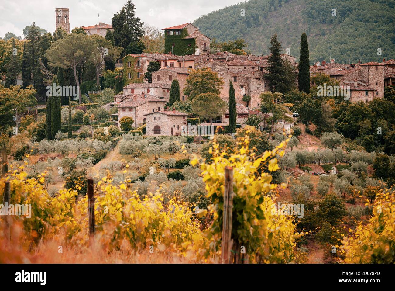 Toskana, Weinberge im Herbst. Italien Stockfoto