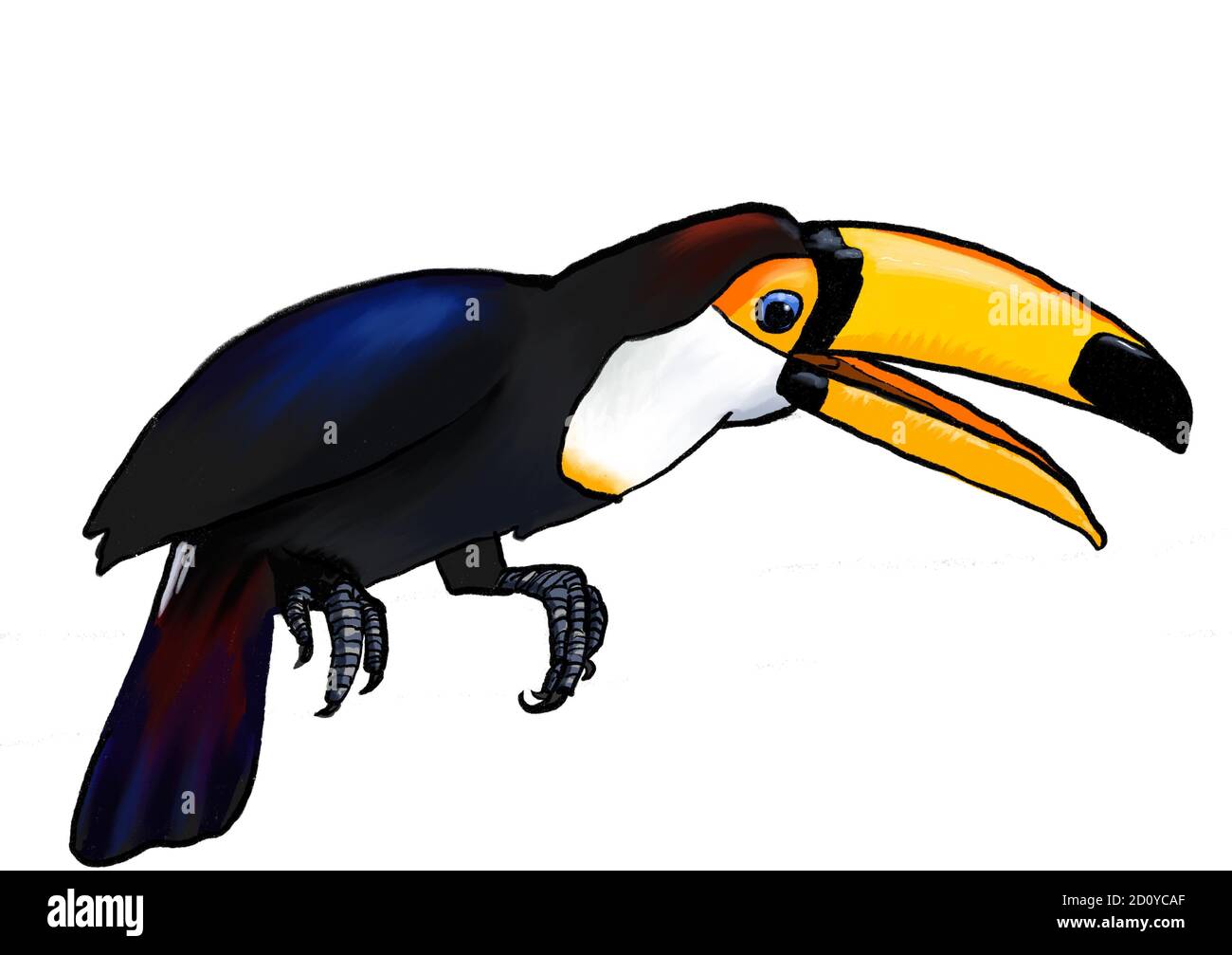 Toucan tropischen exotischen Vogel sitzt mit geöffneten Schnabel Illustration Stockfoto