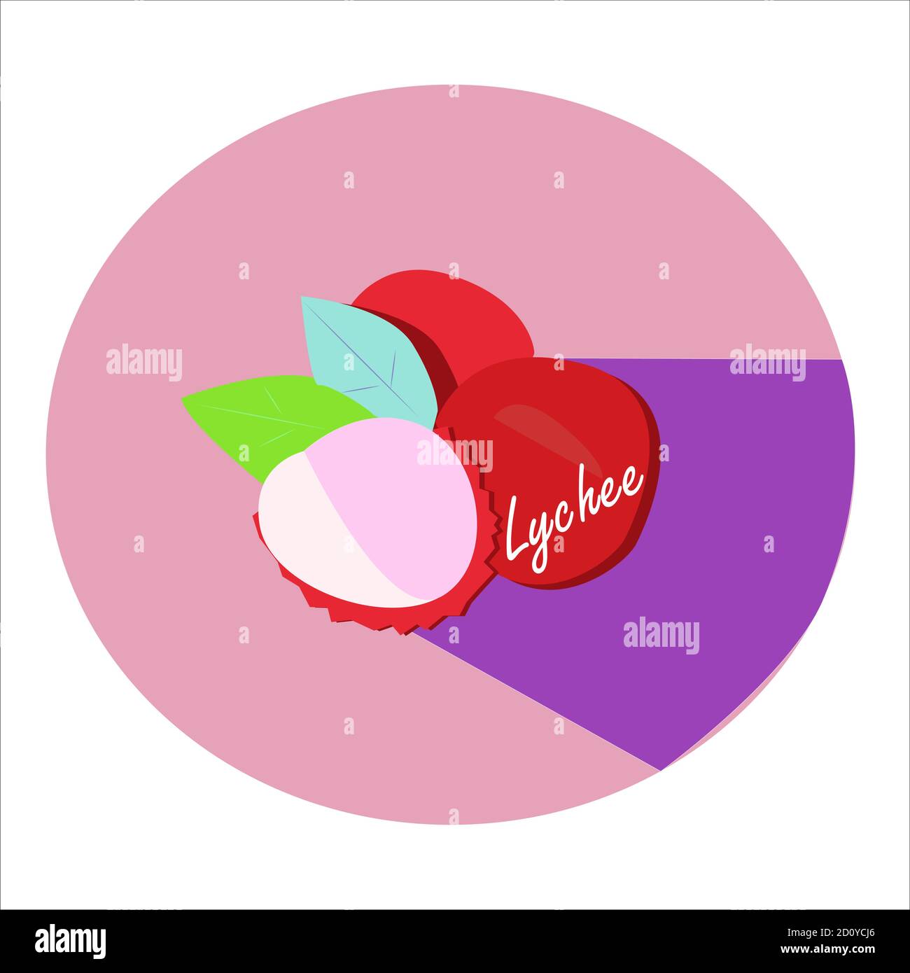 Exotische ungewöhnliche Litschi Frucht im Format Stock Vektor