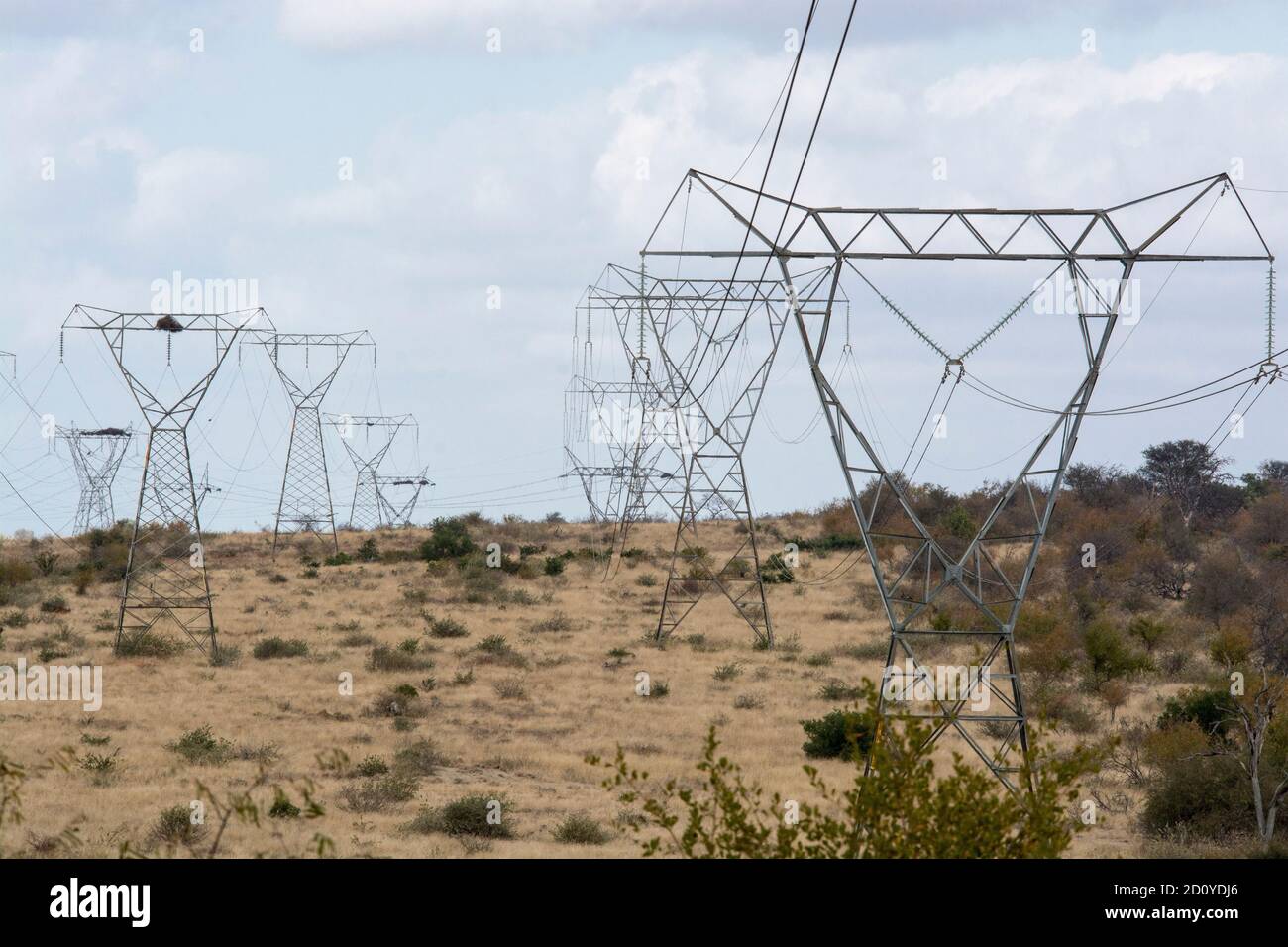 Stromleitungen - Reihen von Pylonen/Masten, die Hochspannungsleitungen über offene Buschveld in Südafrika transportieren. Braunes Veld und blauer Himmel. Stockfoto