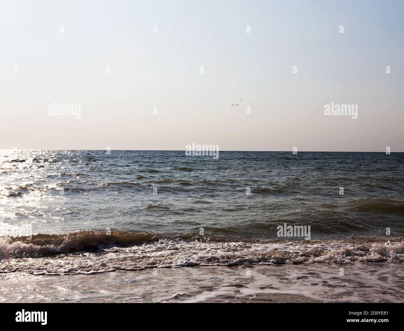 Malerischer Sonnenaufgang an der Schwarzmeerküste. Stockfoto