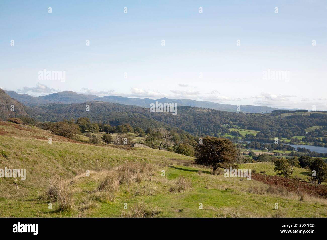 Blick in Richtung Coniston Wasser von der Nähe Torver High Common Coniston Lake District National Park Cumbria England Stockfoto
