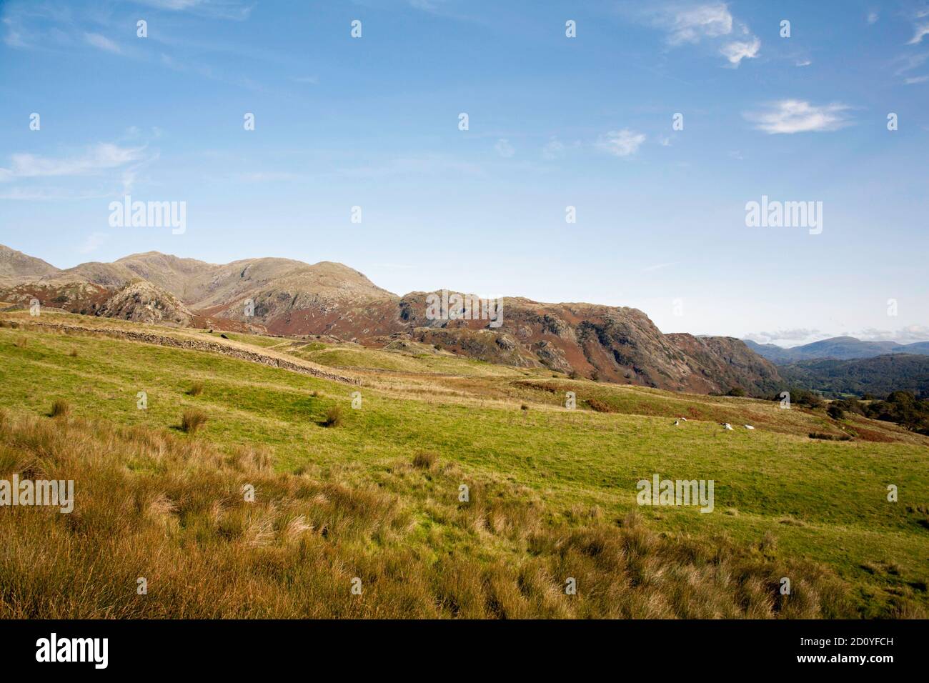 Ein Blick auf die Südwand des alten Mannes Von Coniston aus der Nähe von Torver High Common Coniston Lake District Nationalpark Cumbria England Stockfoto