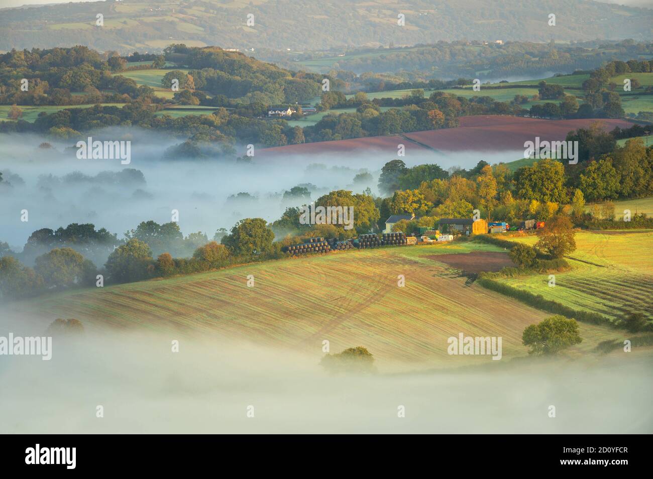 Newport Caerleon in Fog, South Wales Stockfoto