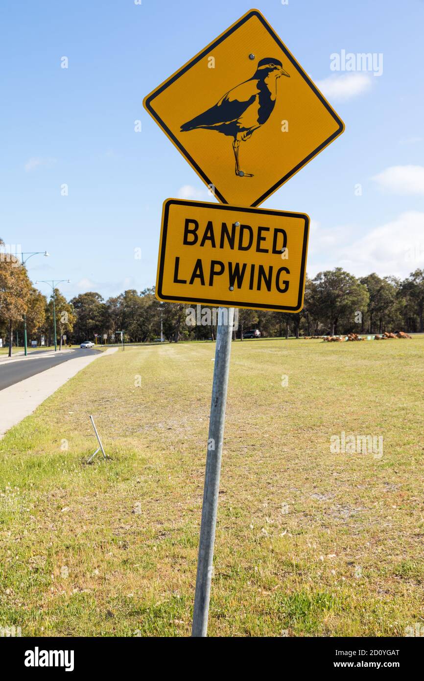 Gebändertes Kiebitz-Schild neben Vorstadtstraße und Parklandschaft Stockfoto