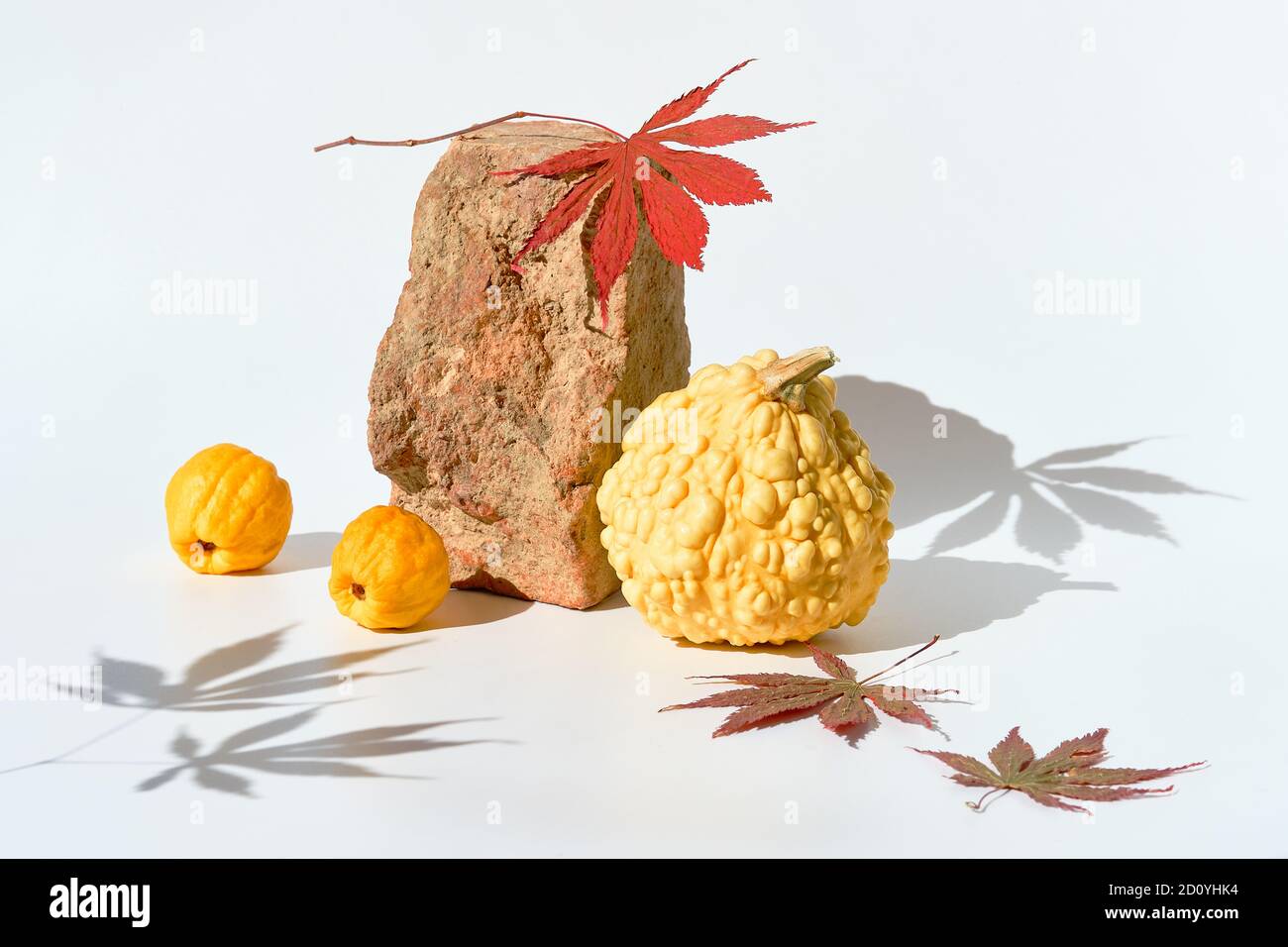 Moderne Herbstkomposition mit harten Schatten. Kürbisse, Quitte, Ahornblätter und Ziegelpodium auf weiß. Stockfoto