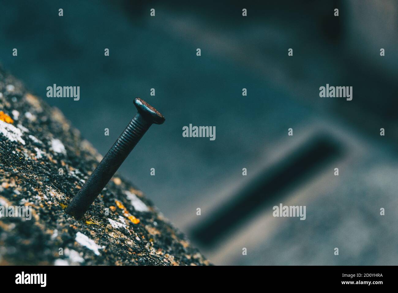 Detail einer Nagel ein Verschimmeltes Stein klemmt Stockfoto