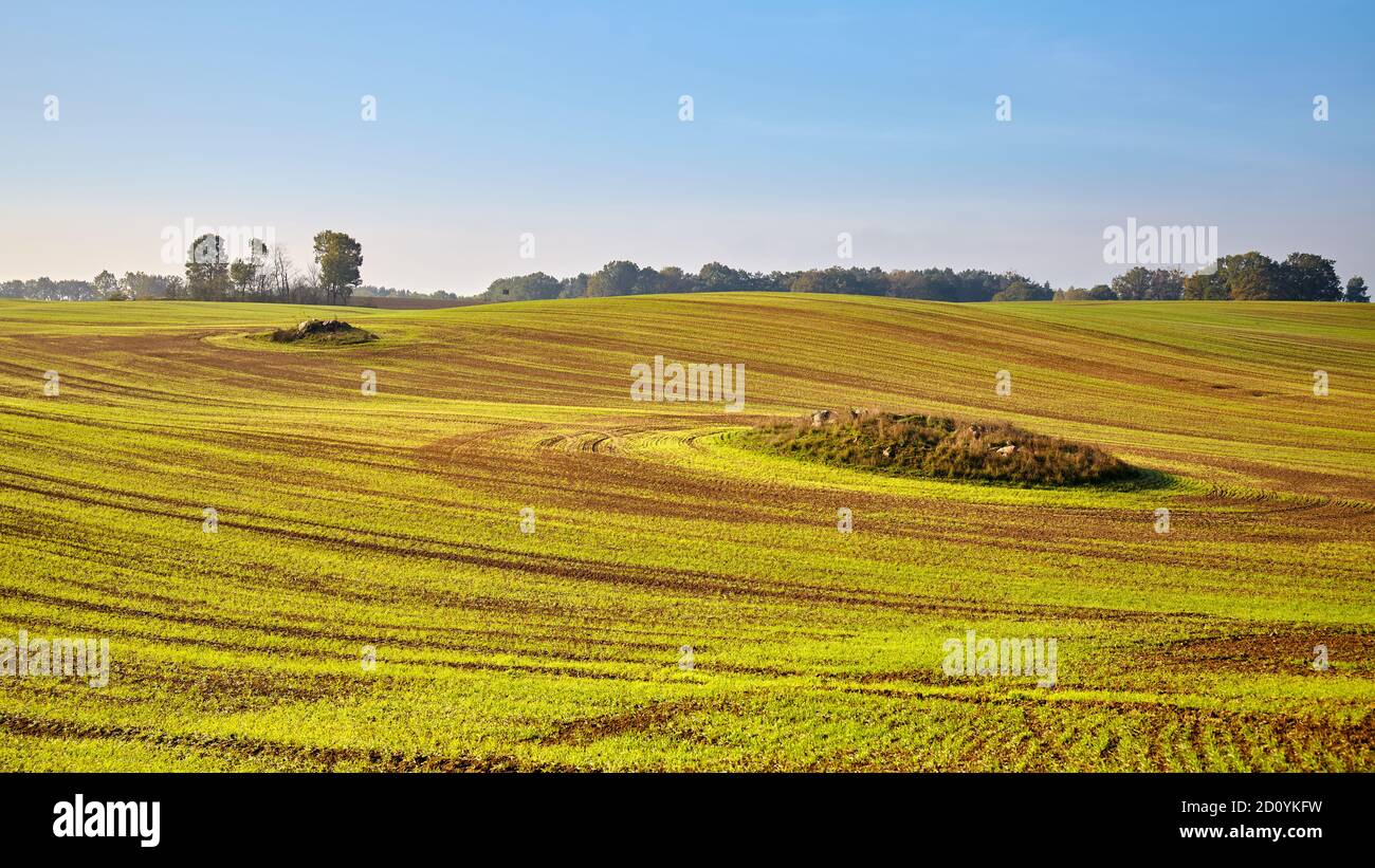 Panoramabild einer herbstlichen ländlichen Landschaft. Stockfoto