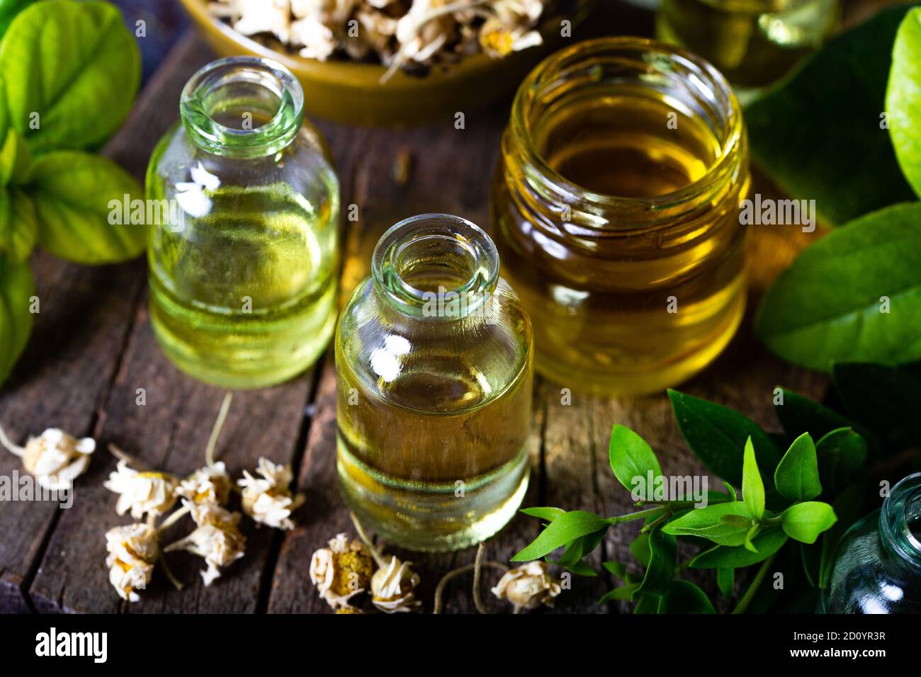 Ätherisches Öl in Glasflasche mit getrockneten Kamillenblüten, Schönheitsbehandlung. Spa-Konzept. Selektiver Fokus. Stockfoto