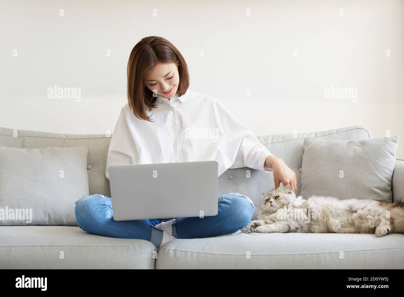 Junge asiatische Geschäftsfrau arbeiten zu Hause mit Laptop-Computer, während Streicheln Haustier Katze Stockfoto