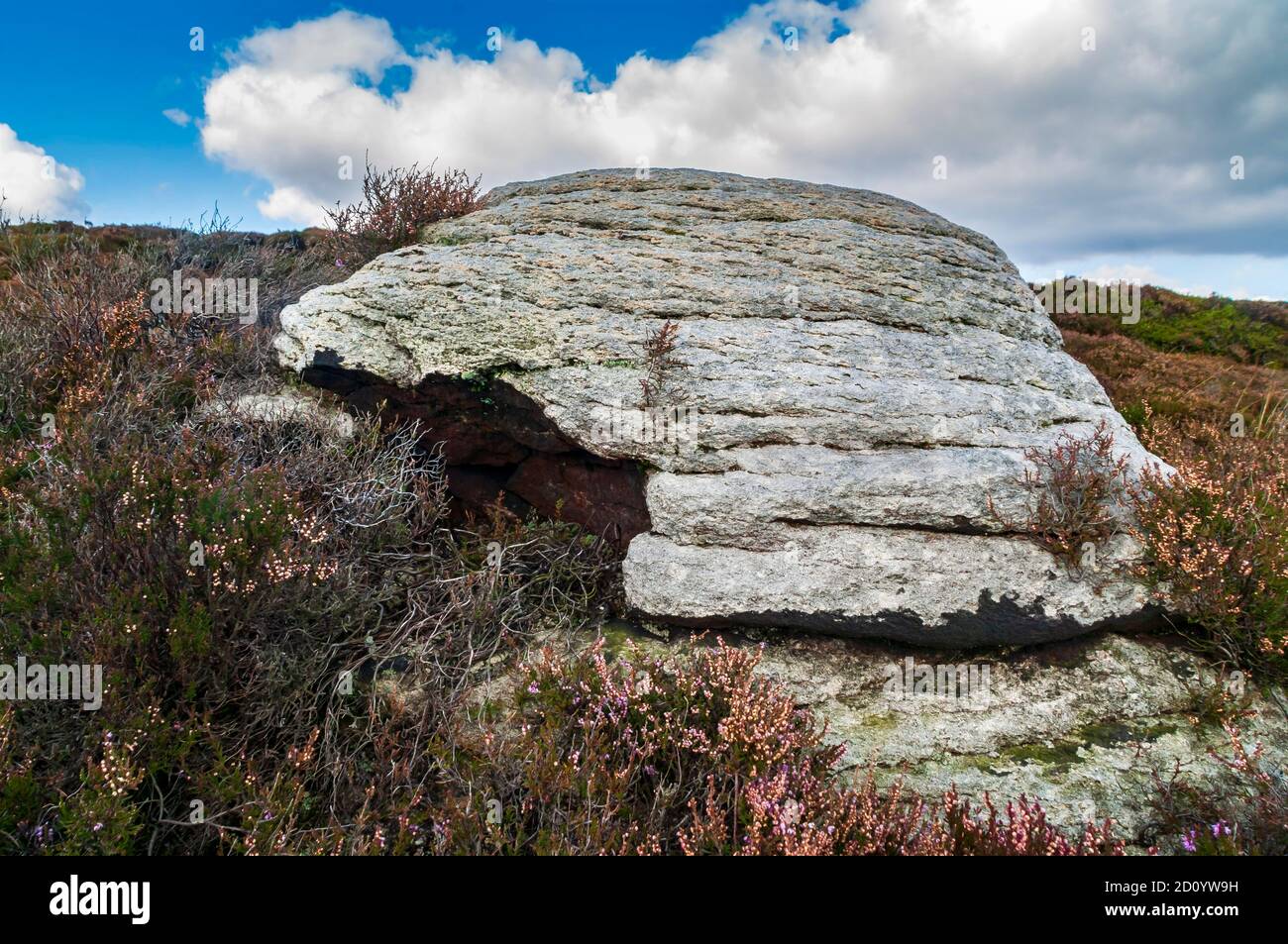 Ungewöhnlicher 'hohler' Gritstone-Felsblock in der Nähe von Ringing Roger am Rande des Kinder Scout-Plateaus. Stockfoto