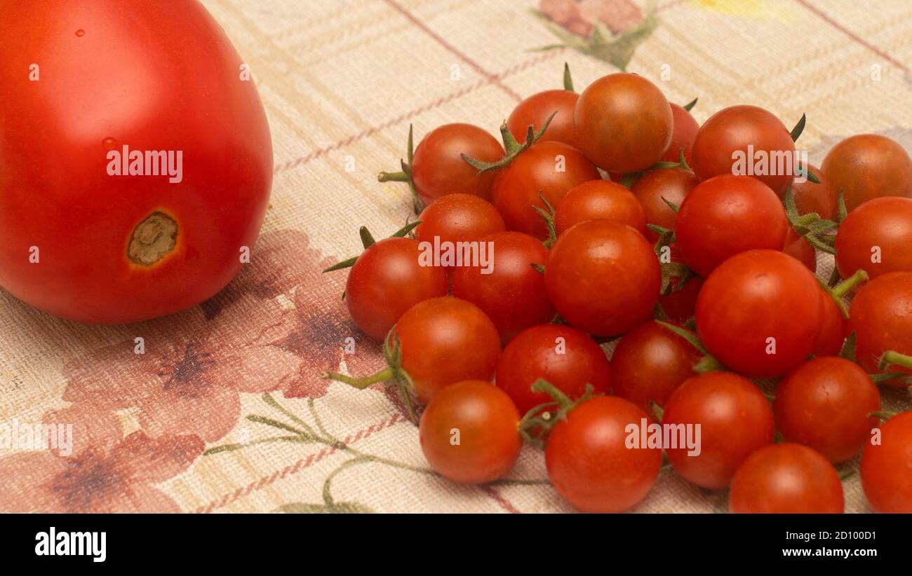 Einzelne große Tomate zusammen mit einem Bündel von Kirschtomaten Auf einem floralen Hintergrund Stockfoto