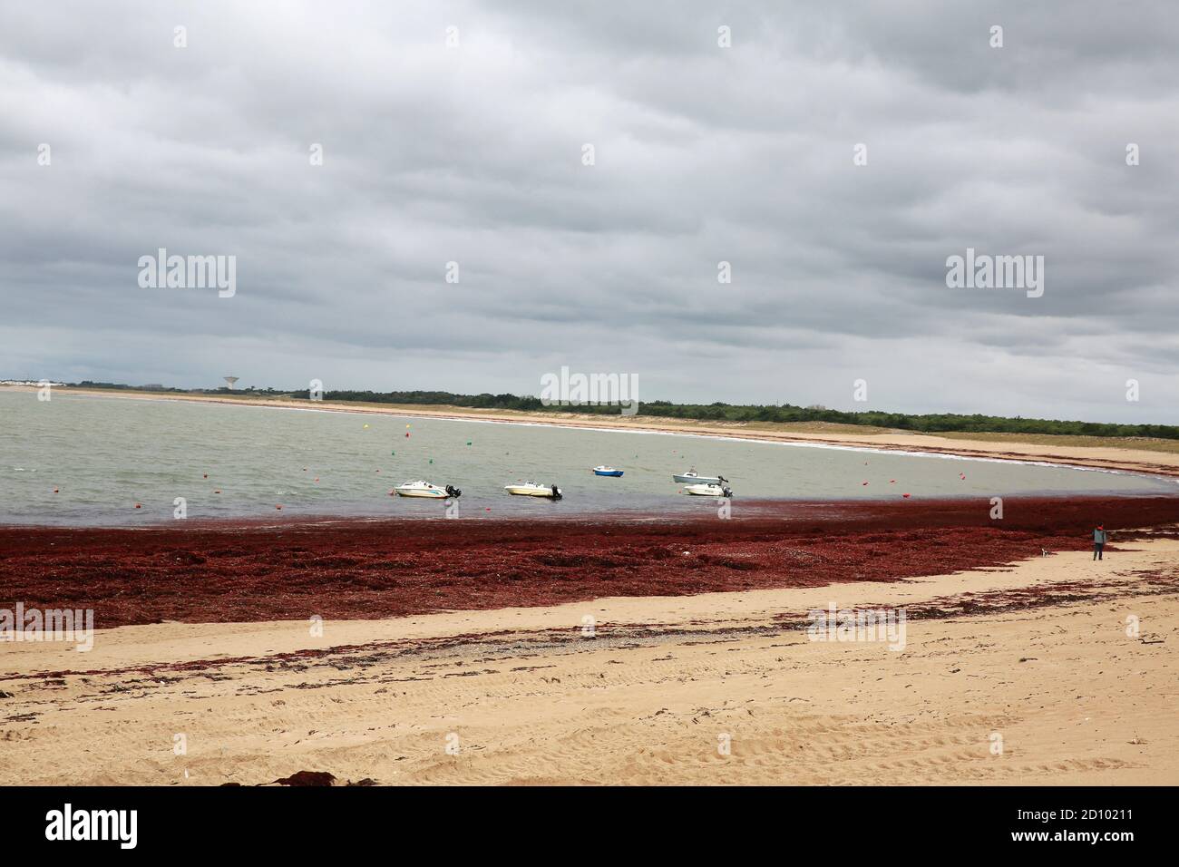 Saint Hilaire de Riez, Pays de la Loire, Vendee, Frankreich Stockfoto