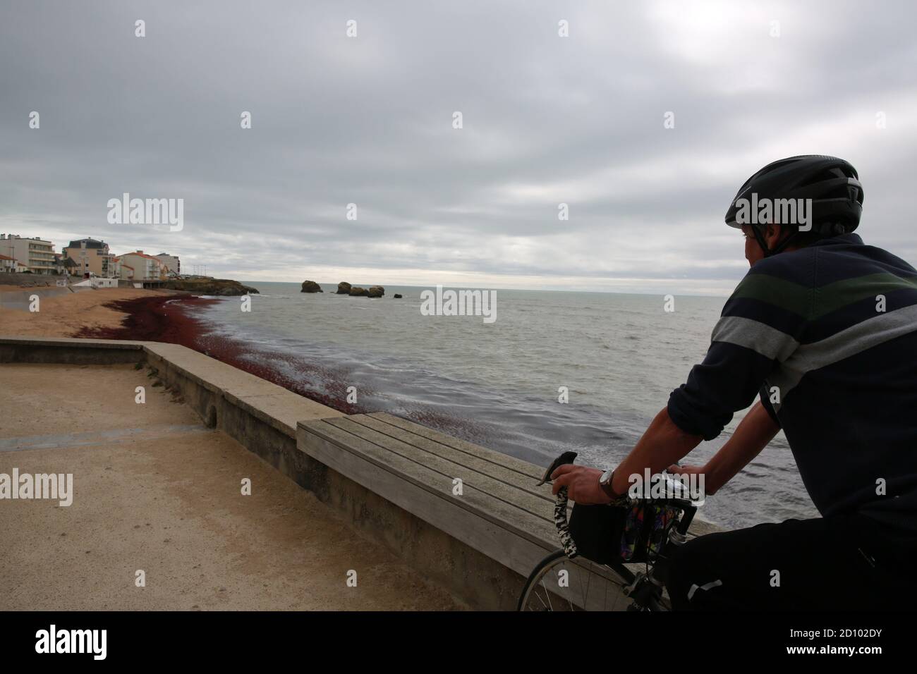 Radfahrer, Saint Hilaire de Riez, Pays de la Loire, Vendee, Frankreich Stockfoto