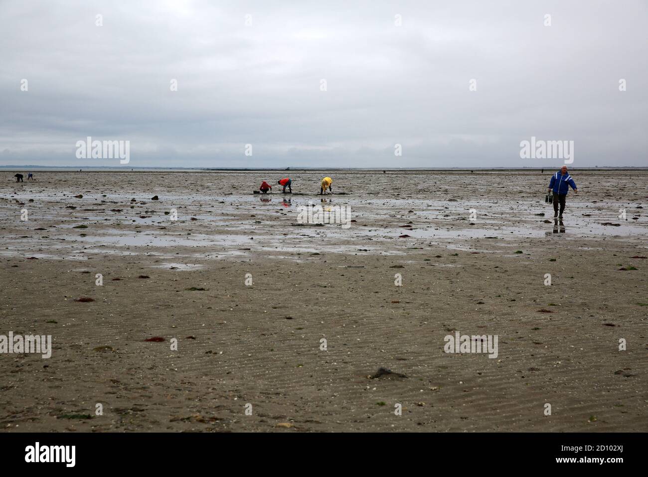 Menschen auf der Suche nach Meeresfrüchten, Noirmoutier, Pays de la Loire, Vendee, Frankreich Stockfoto