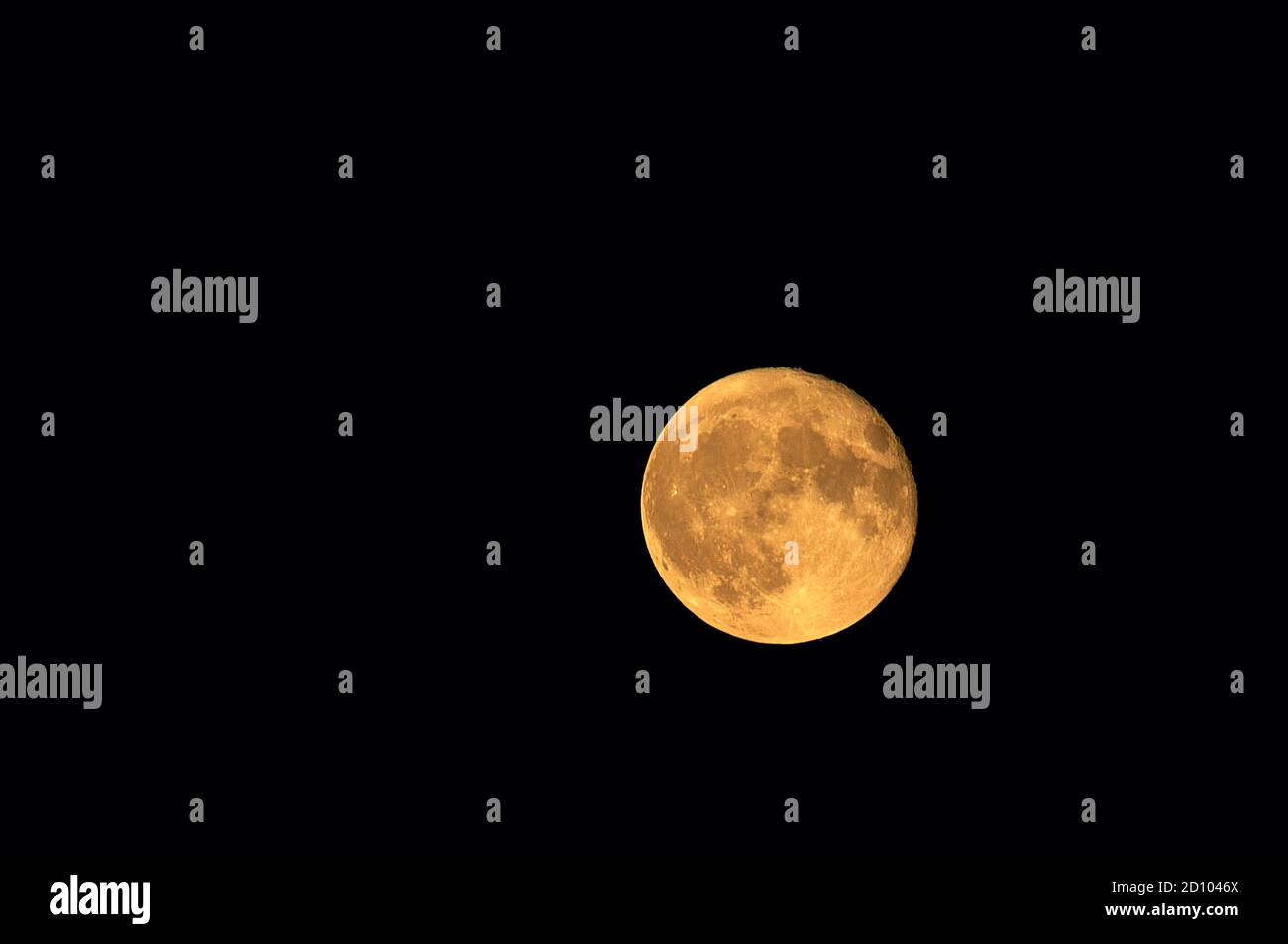 Ernte Mond steigt in den Nachthimmel Oktober 2020. Stockfoto