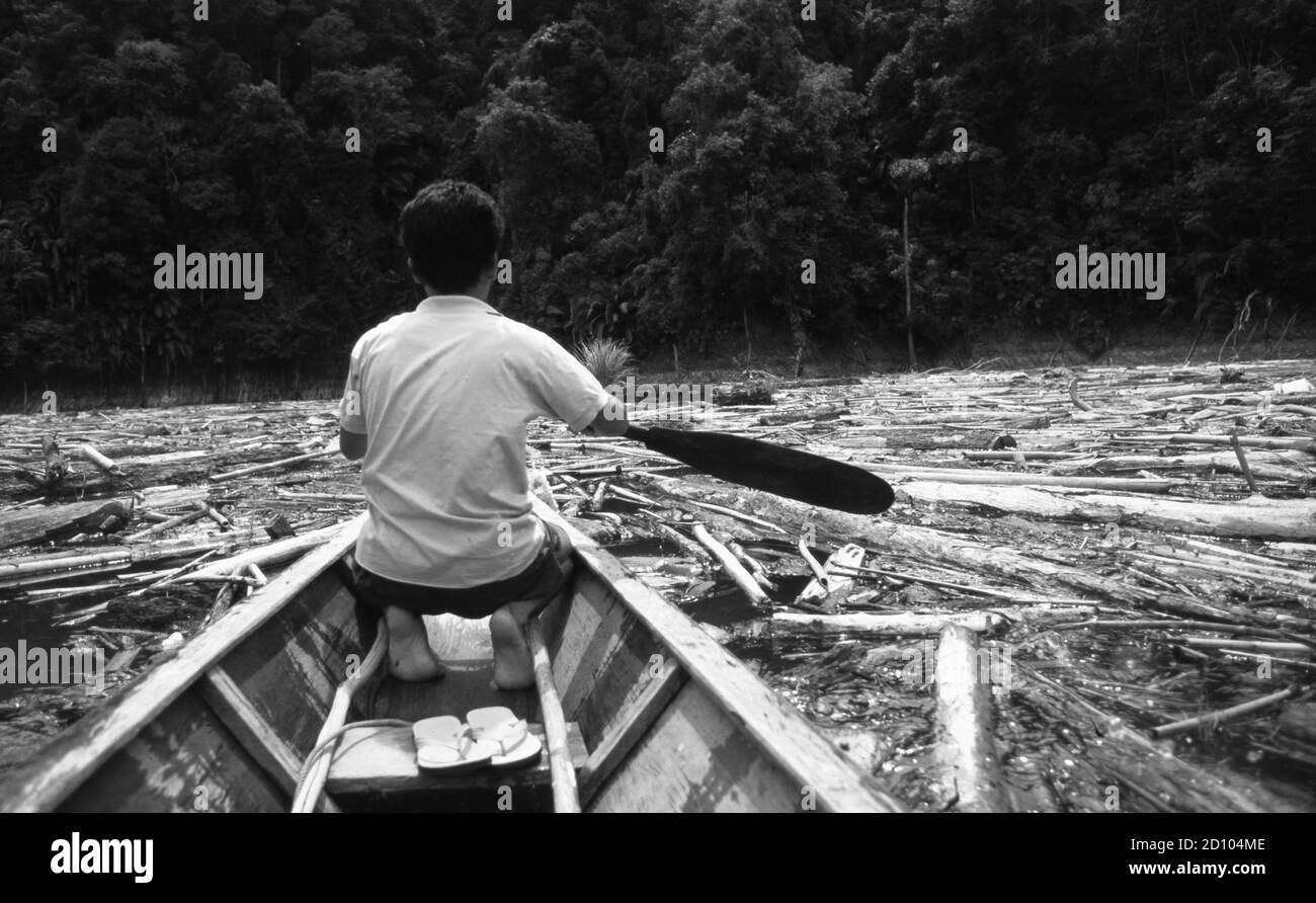 Malaysia: Ein Mann in einem kleinen Boot versucht auf dem Fluss in Sarawak zu fahren, der voll von abgeschnittenen Timerbäumen auf der Insel Borneo ist Stockfoto