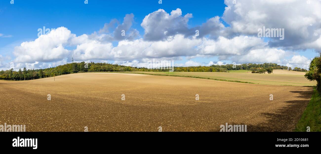 Panoramablick auf ein Harrowed Feld in Ackerland nach der Ernte in unberührten ländlichen Wiltshire Landschaft, Great Bedwyn, Wiltshire, im frühen Herbst Stockfoto