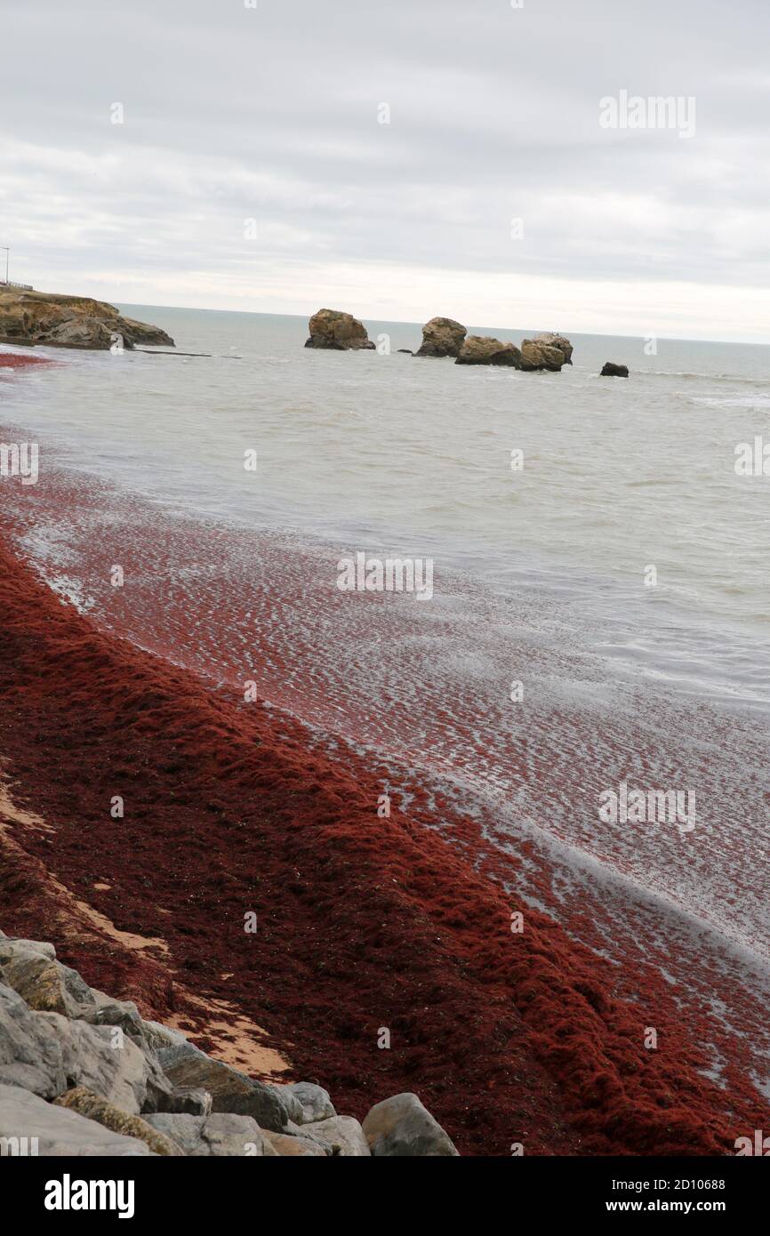 Saint Hilaire de Riez, Pays de la Loire, Vendee, Frankreich Stockfoto