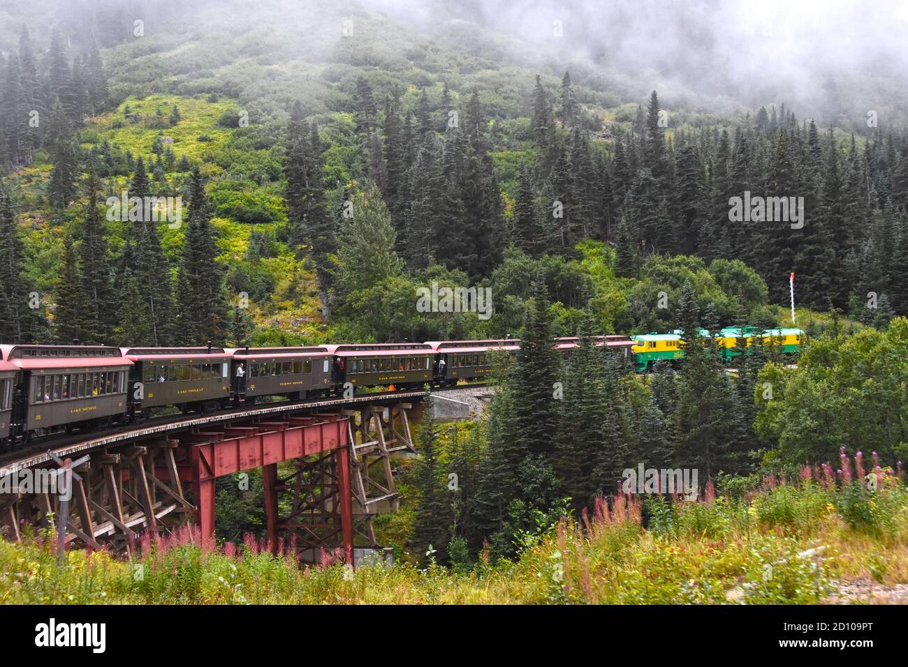 Zug - White Pass, Yukon Stockfoto
