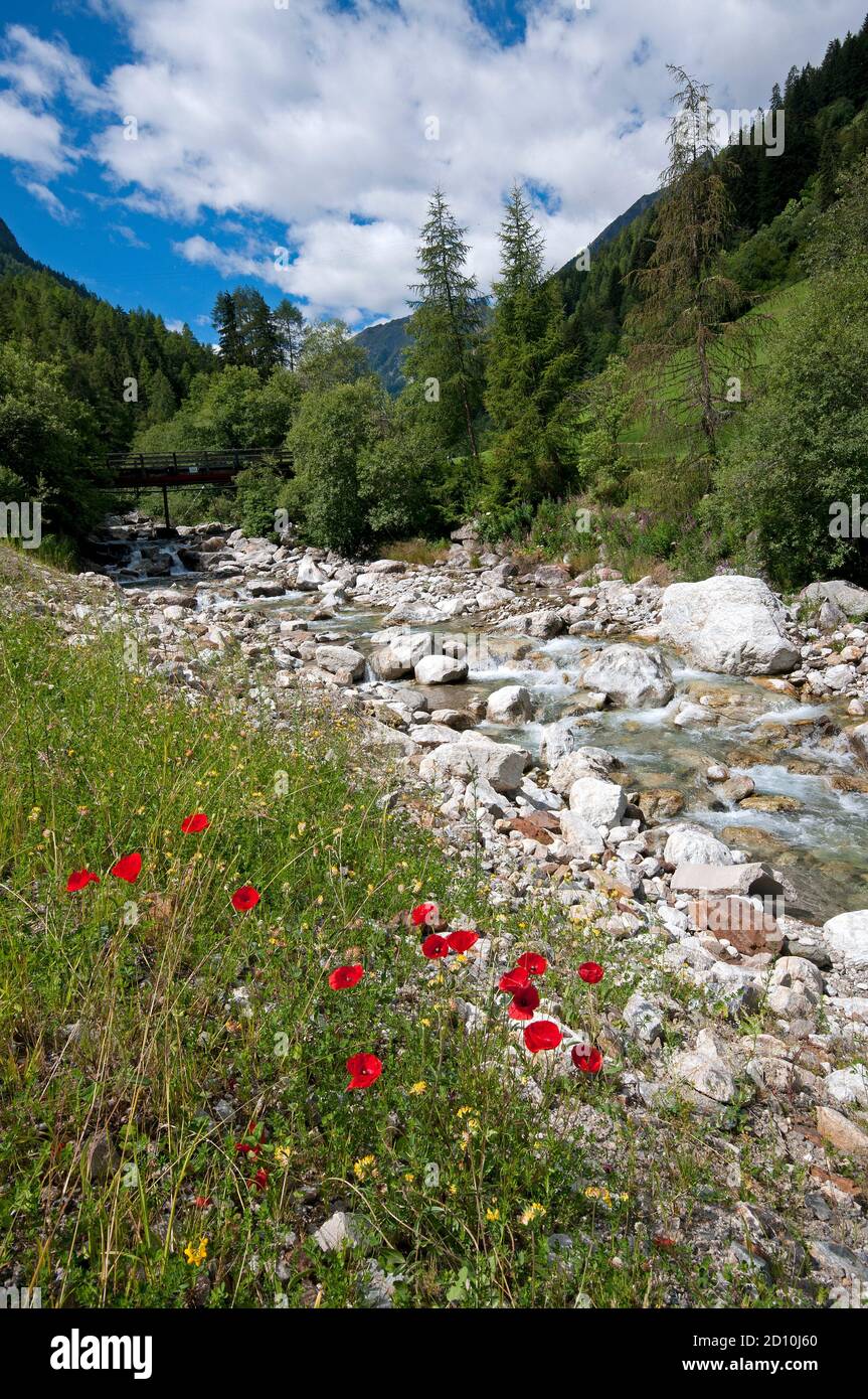 Plima Bach im Martelltal, Bozen, Trentino-Südtirol, Italien Stockfoto