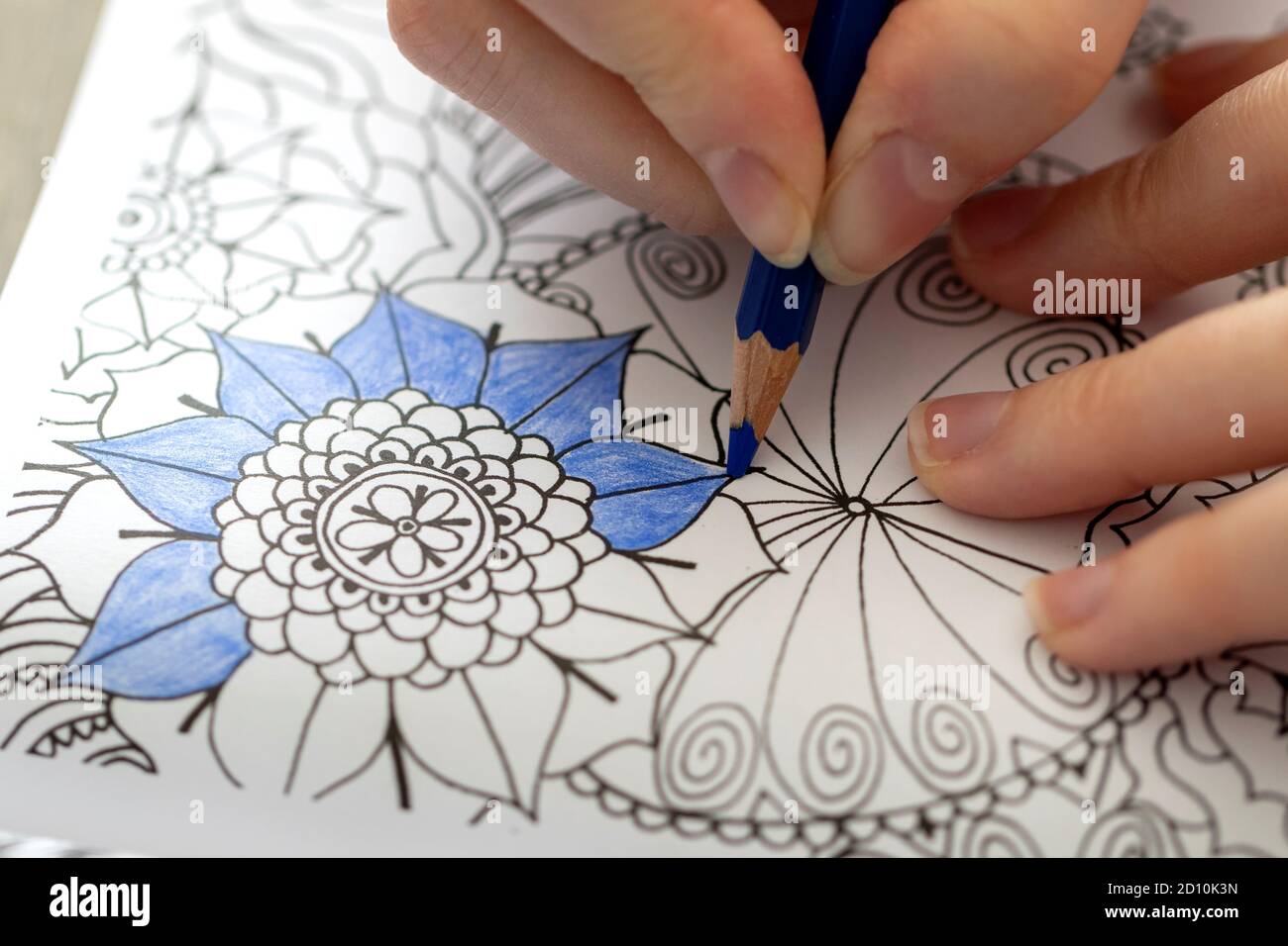 Oben unten ein Porträt einer Hand einer Person, die einen blauen Bleistift hält. Die Person färbt eine Illustration in einem Malbuch für Erwachsene, um zu versuchen Stockfoto
