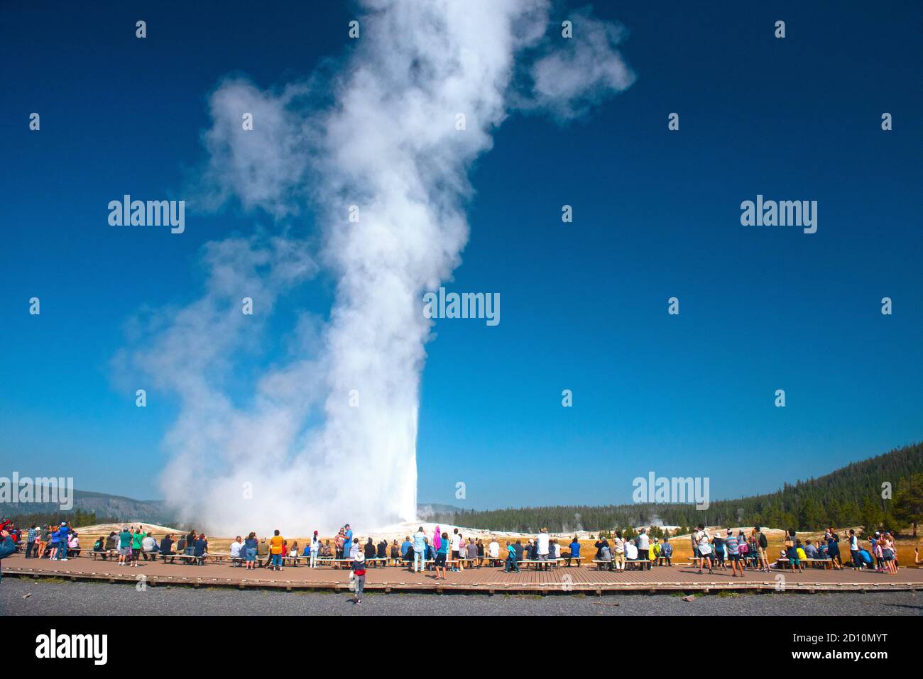 Old Faithful Erupting, Upper Geyser Basin, Yellowstone National Park, Wyoming, USA Stockfoto