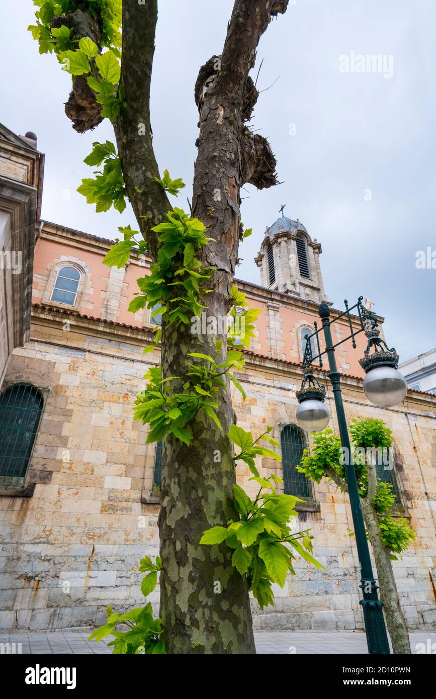 St. Lucia Kirche, Daoiz y Velarde Straße, Santander, Kantabrien, Spanien, Europa Stockfoto