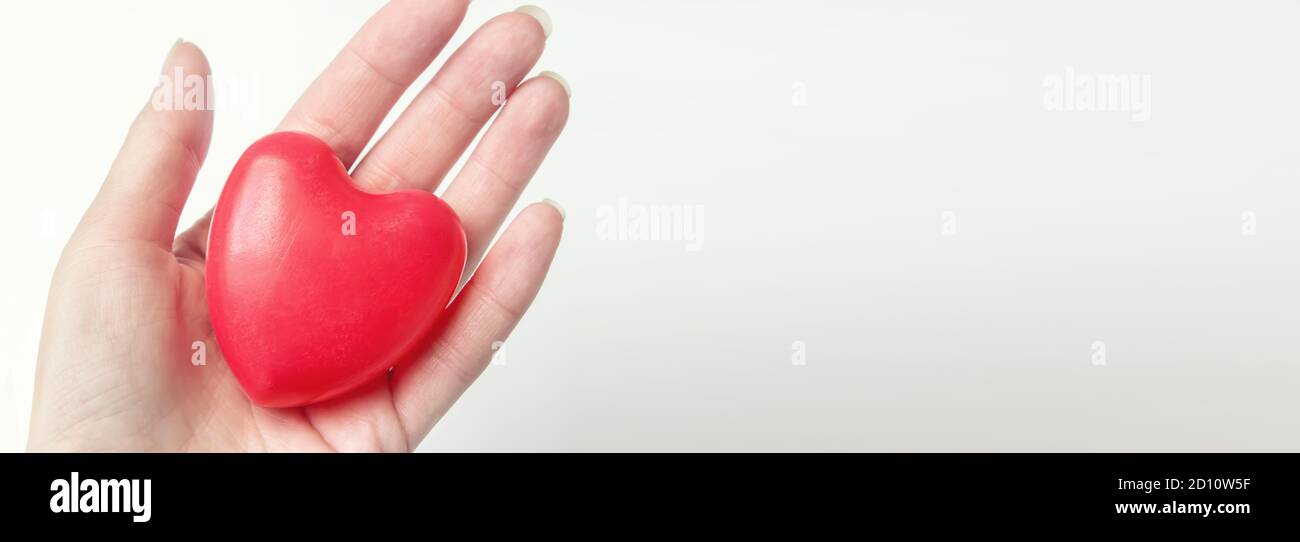 Hand halten rotes Herz. CSR-Konzept, Weltherztag, Weltgesundheitstag, nationaler Organspendertag Stockfoto