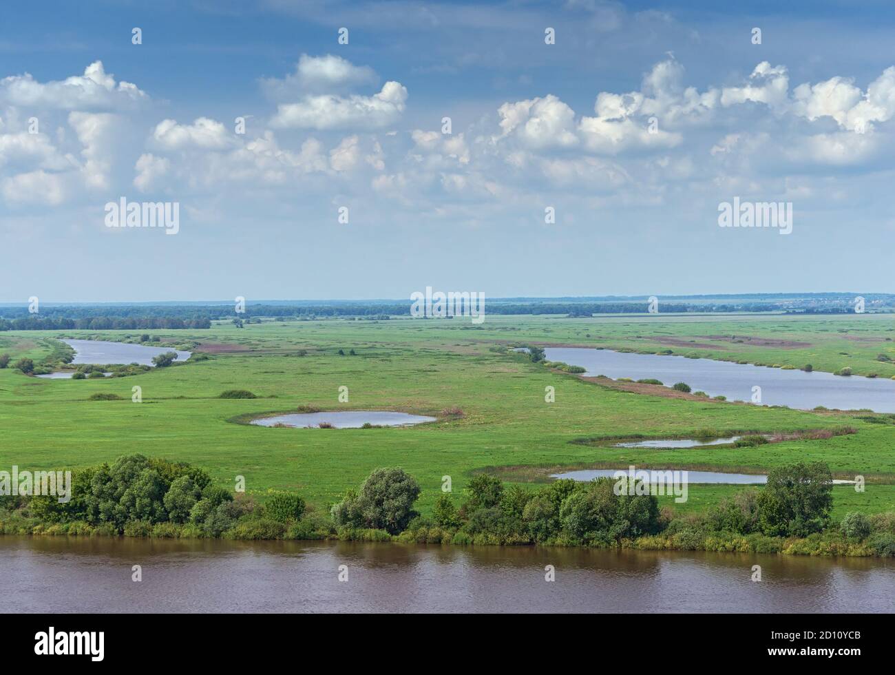 Wiesen entlang des Flusses Oka. Region Rjasan, Zentralrussland Stockfoto