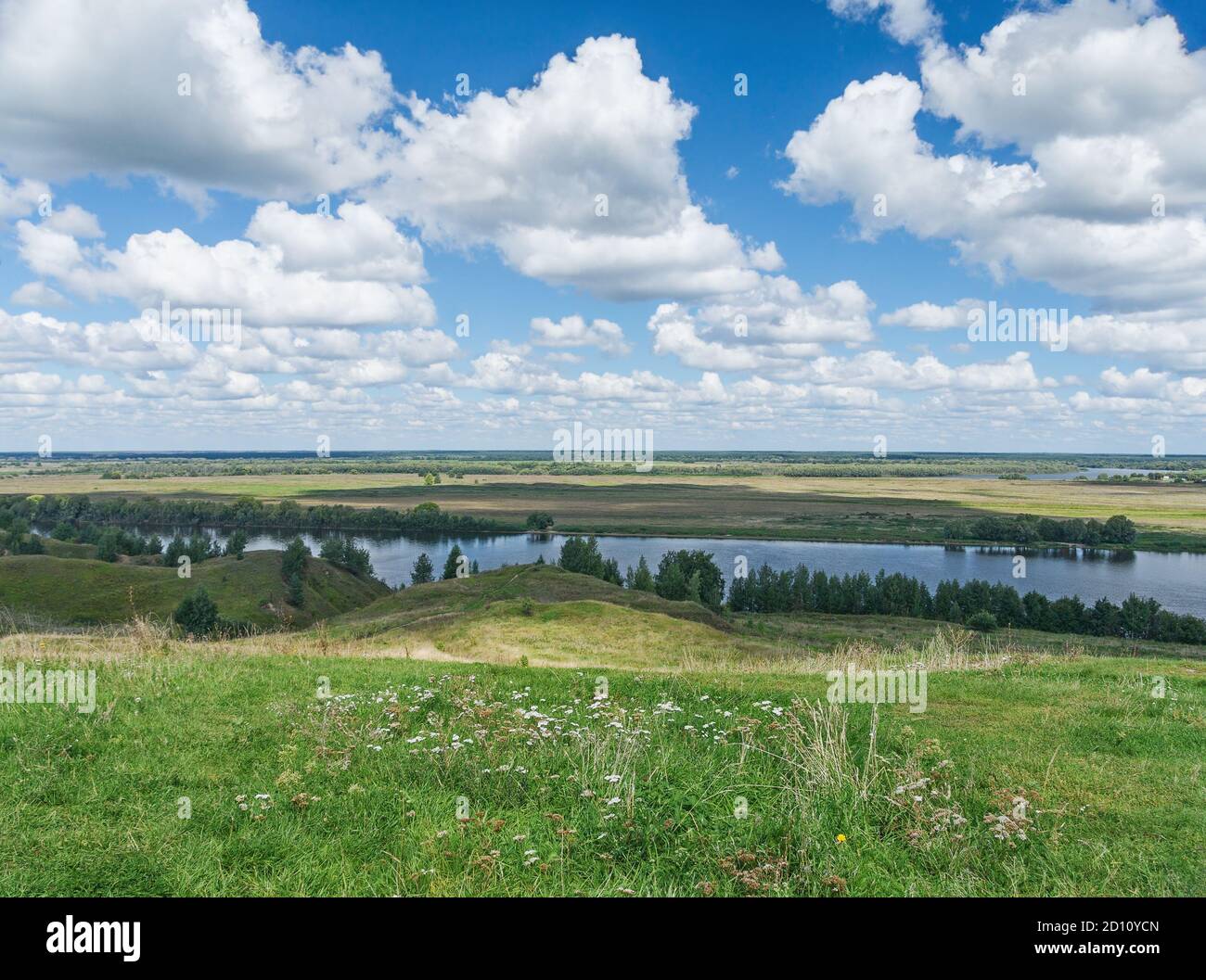 Wiesen entlang des Flusses Oka. Zentralrussland, Region Rjasan Stockfoto