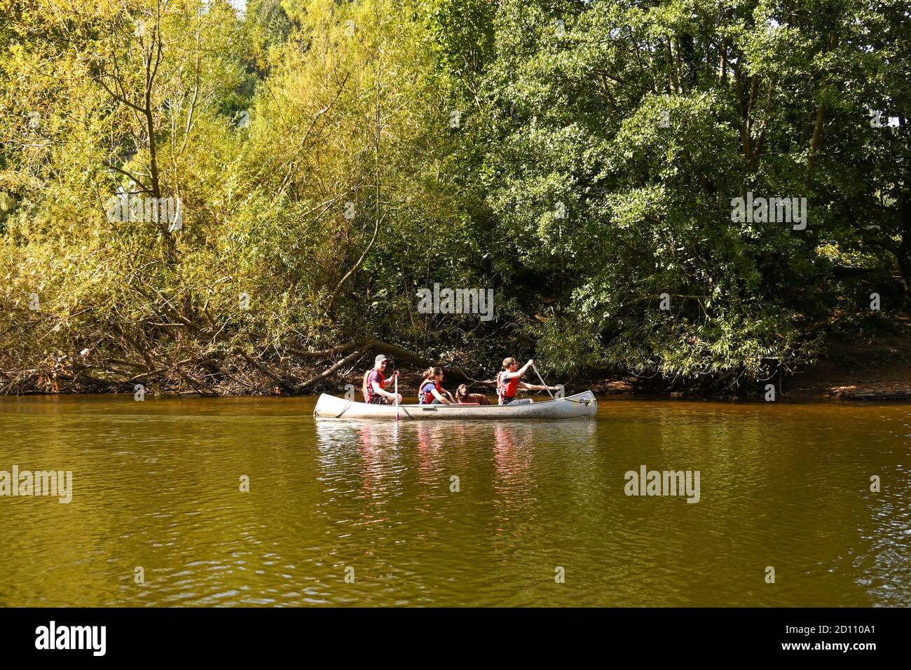 Symonds, Yat, England - September 2020: Drei Menschen und ein Hund im Kanu auf dem Fluss Wye in Symonds Yat. Stockfoto