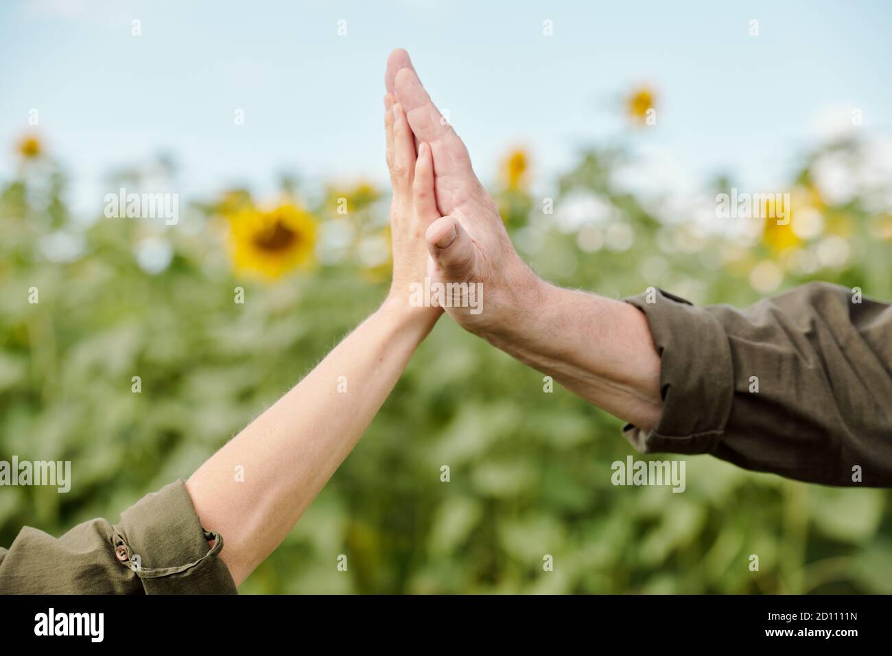 Hände von älteren männlichen Landwirt in Arbeitskleidung und die von Seine reife Kollegin Stockfoto