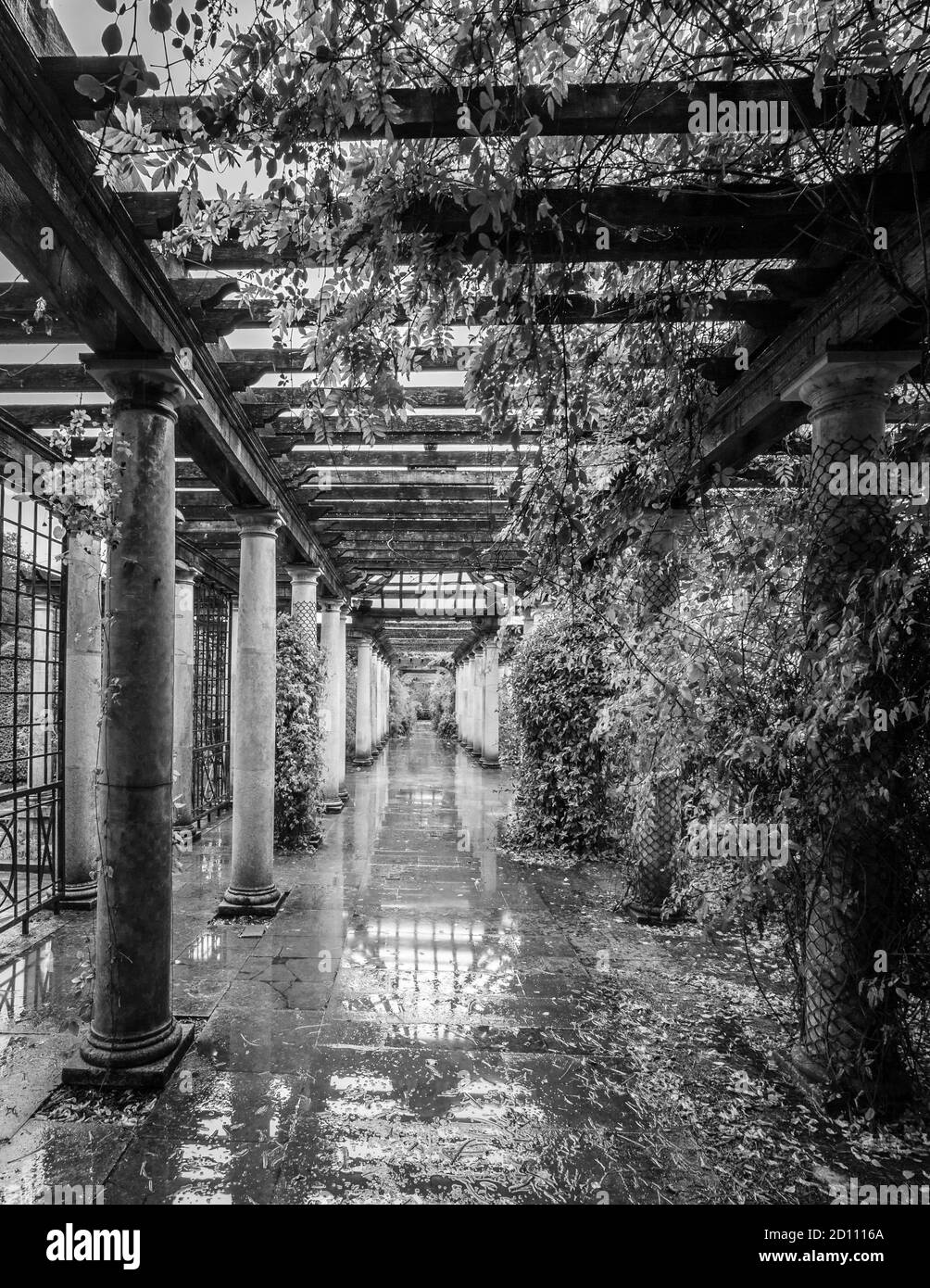 Schwarz-Weiß-Bild des Herbstes im Hill Garden und Pergola im Regen in London. Stockfoto